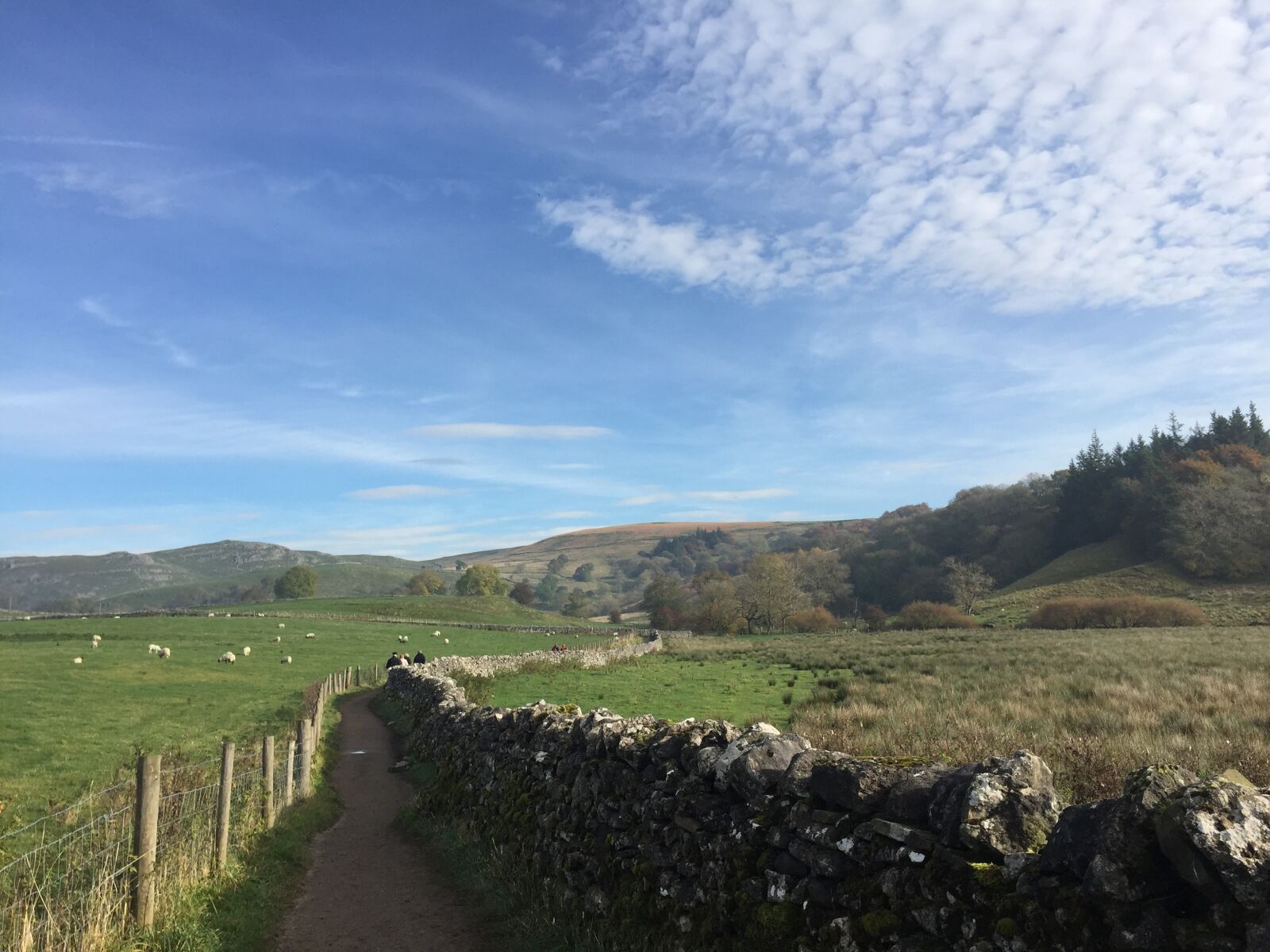 Apple iPhone 6 sample photo. Countryside, rural, yorkshire photography