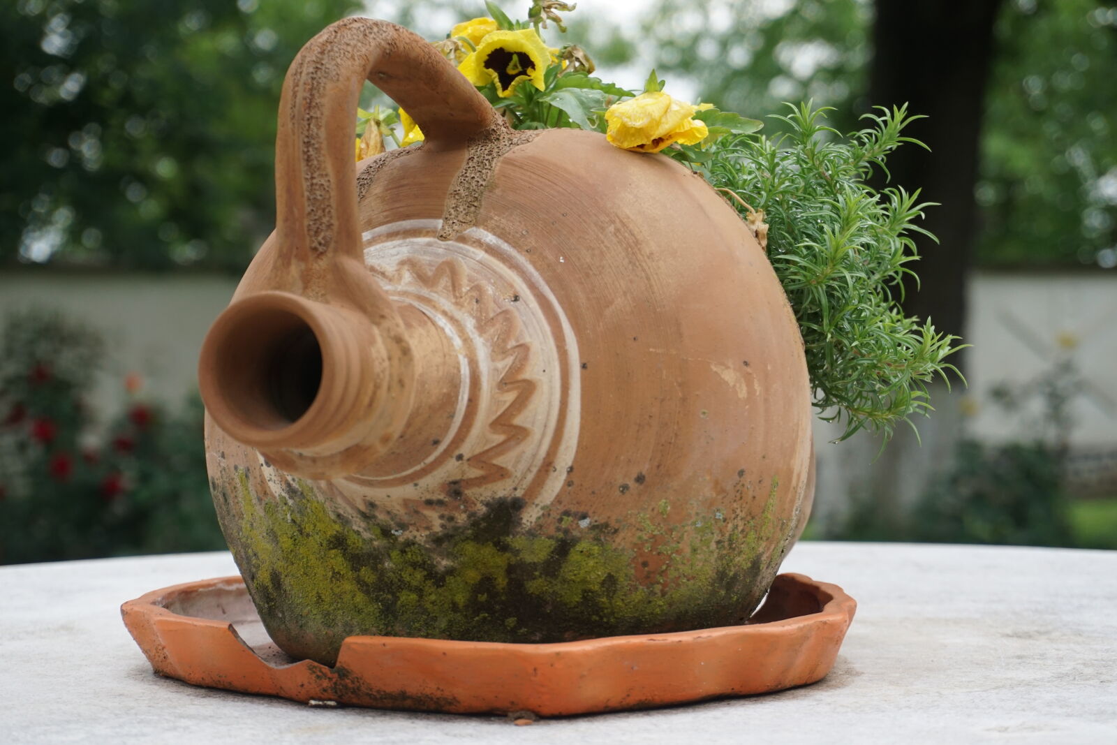 Sony E 16-50mm F3.5-5.6 PZ OSS sample photo. Art, jug, tradition photography