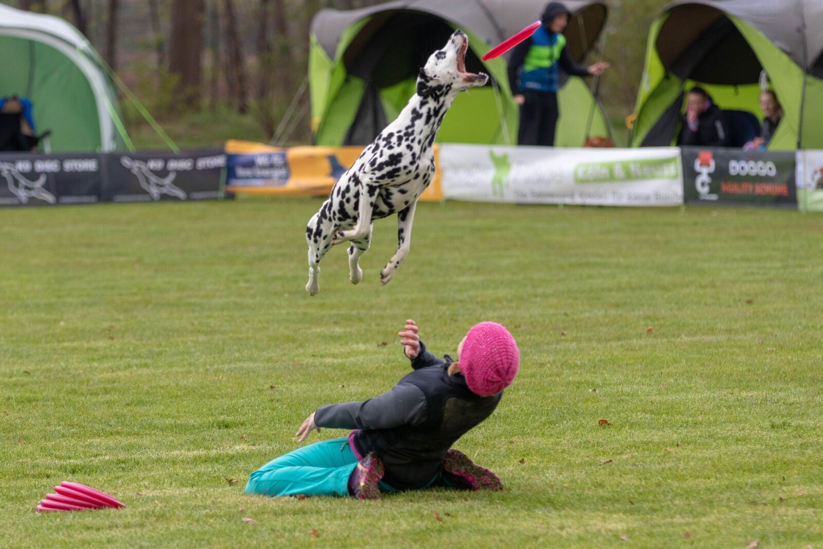Canon EOS 80D sample photo. Frisbee, dogfrisbee, dog photography