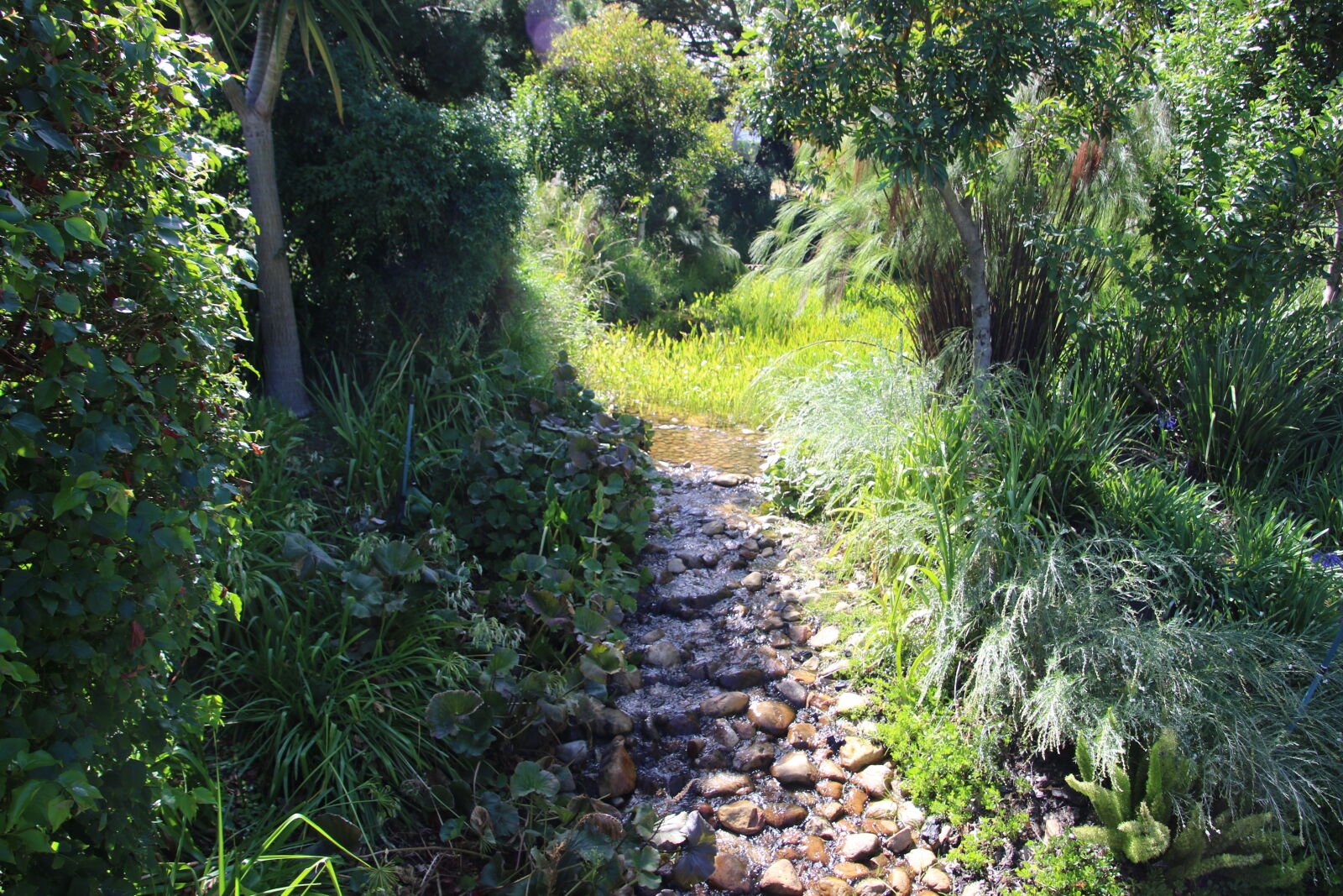 Canon EOS 7D Mark II sample photo. Boulders, nature, stream, trees photography