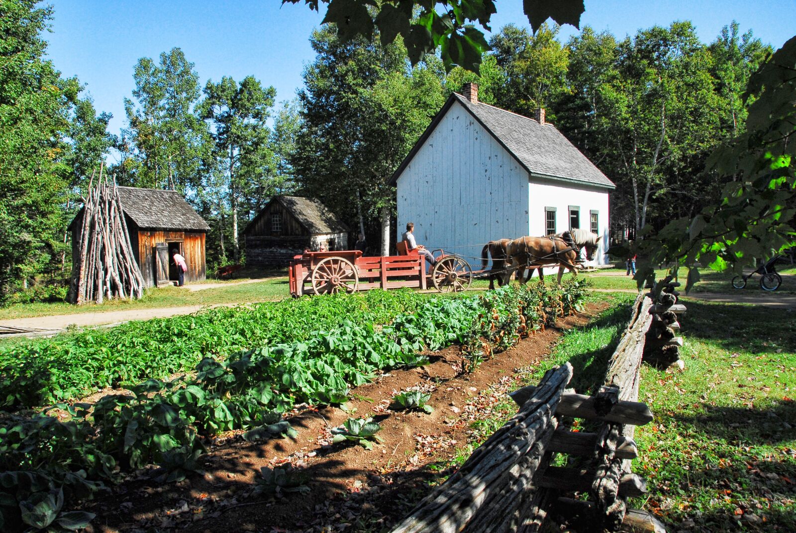 Nikon D200 sample photo. Farm, rural, agriculture photography