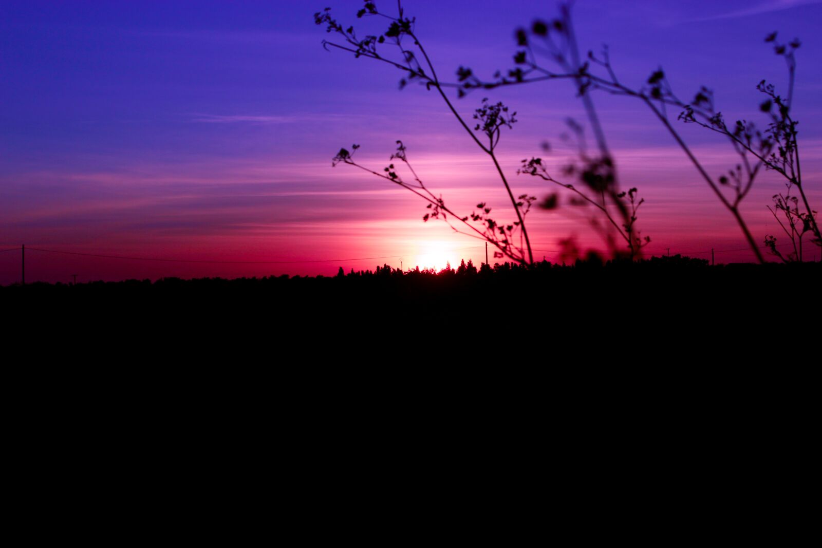 Canon EOS 600D (Rebel EOS T3i / EOS Kiss X5) + Canon EF 28-105mm f/3.5-4.5 USM sample photo. Purple, sunset, sky photography