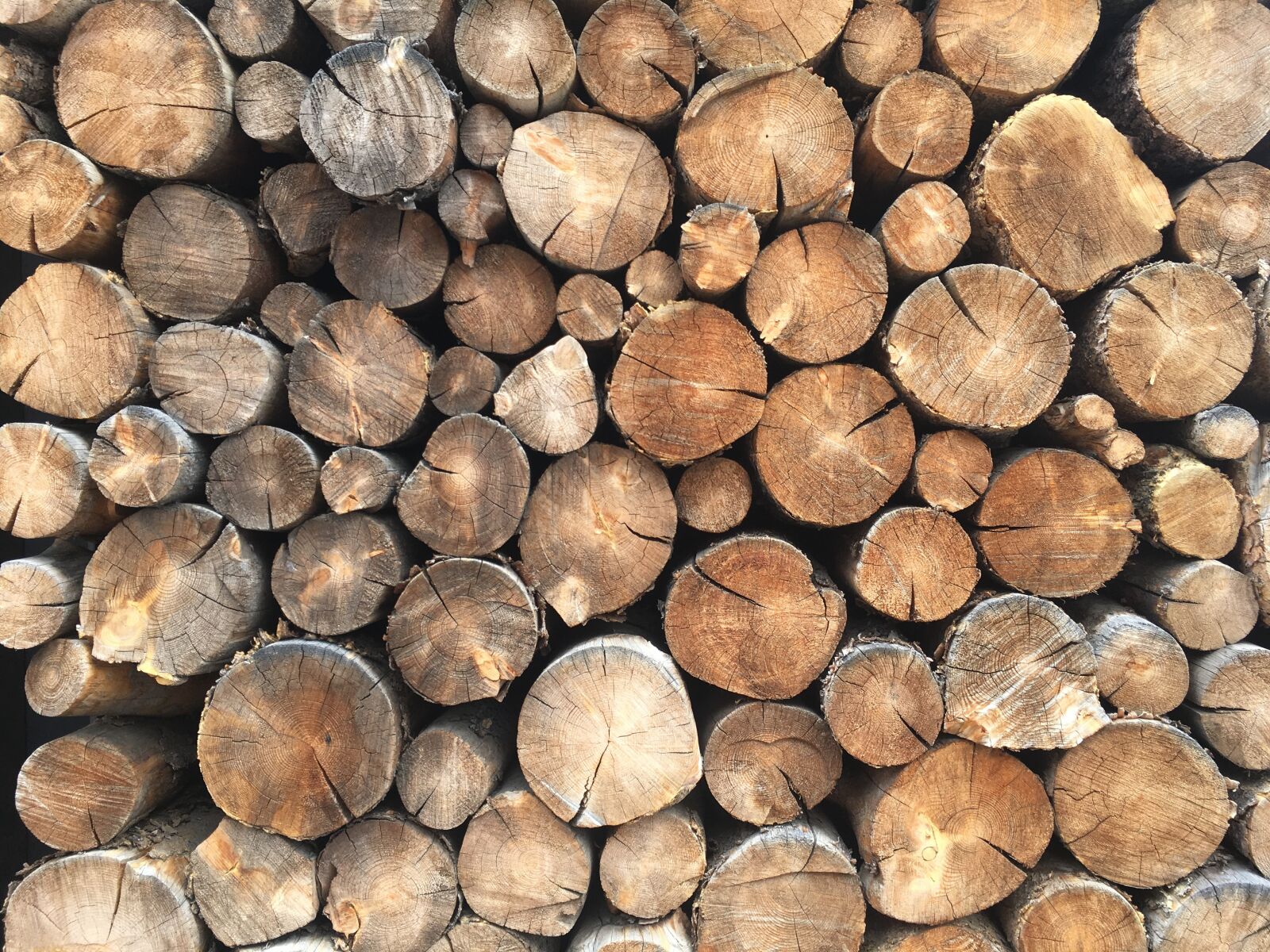Apple iPhone 6s sample photo. Wood, logs, stack photography