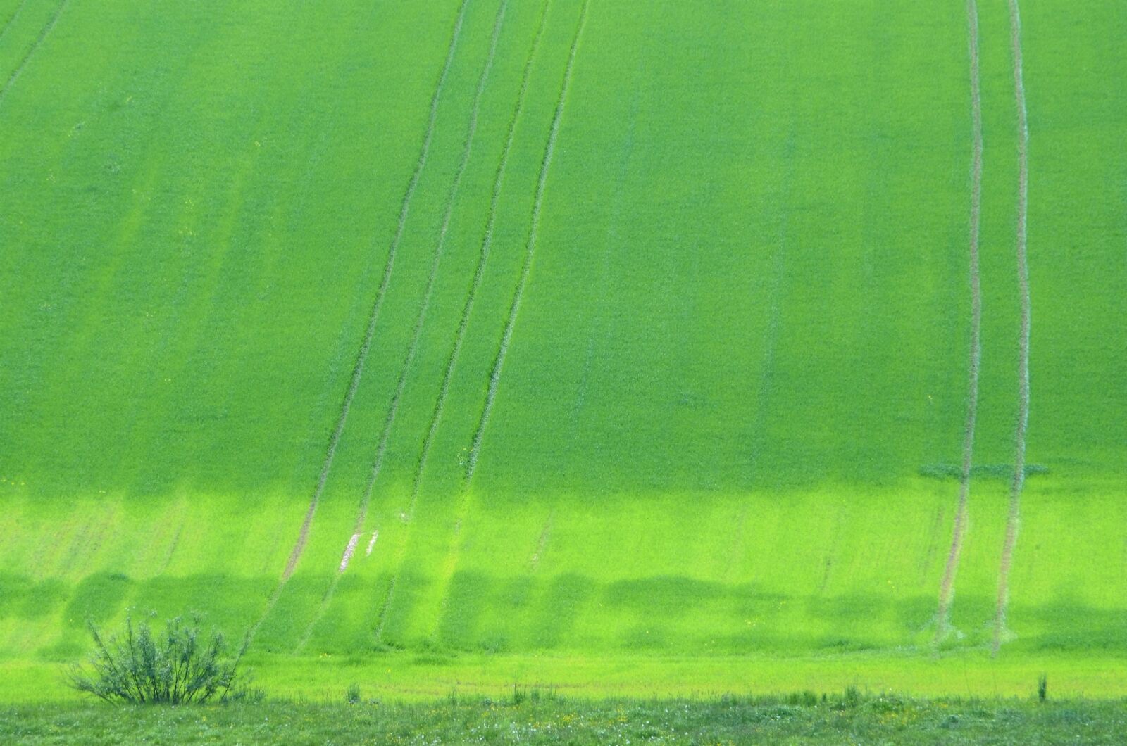 Nikon D7000 sample photo. Meadow, field, landscape photography