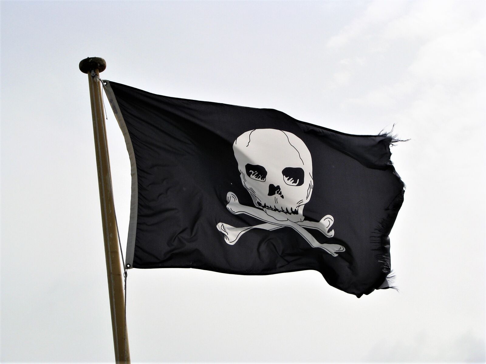 Canon POWERSHOT S5 IS sample photo. Pirate flag, pirate, flag photography