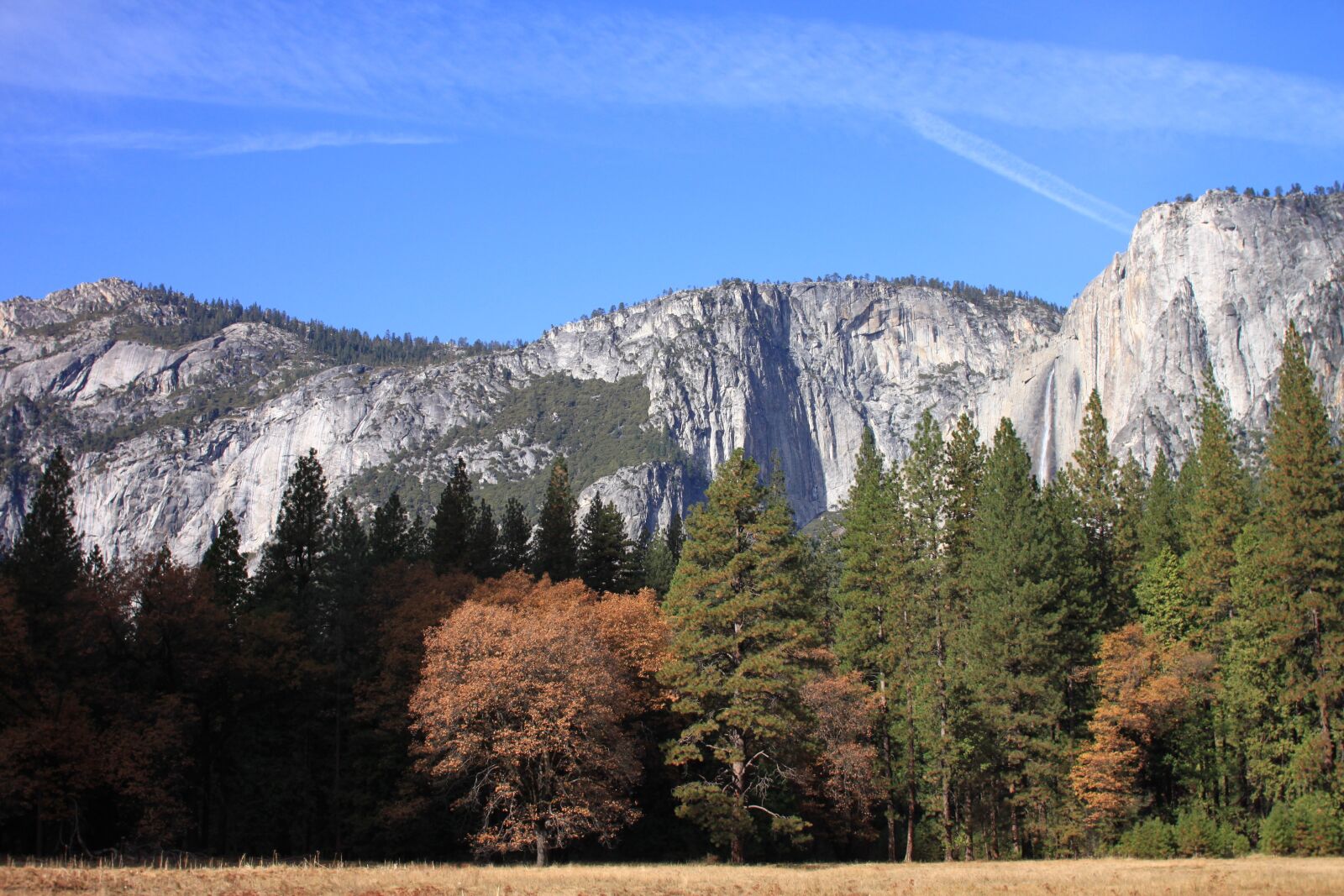 Canon EOS 500D (EOS Rebel T1i / EOS Kiss X3) sample photo. Yosemite, national park, wood photography