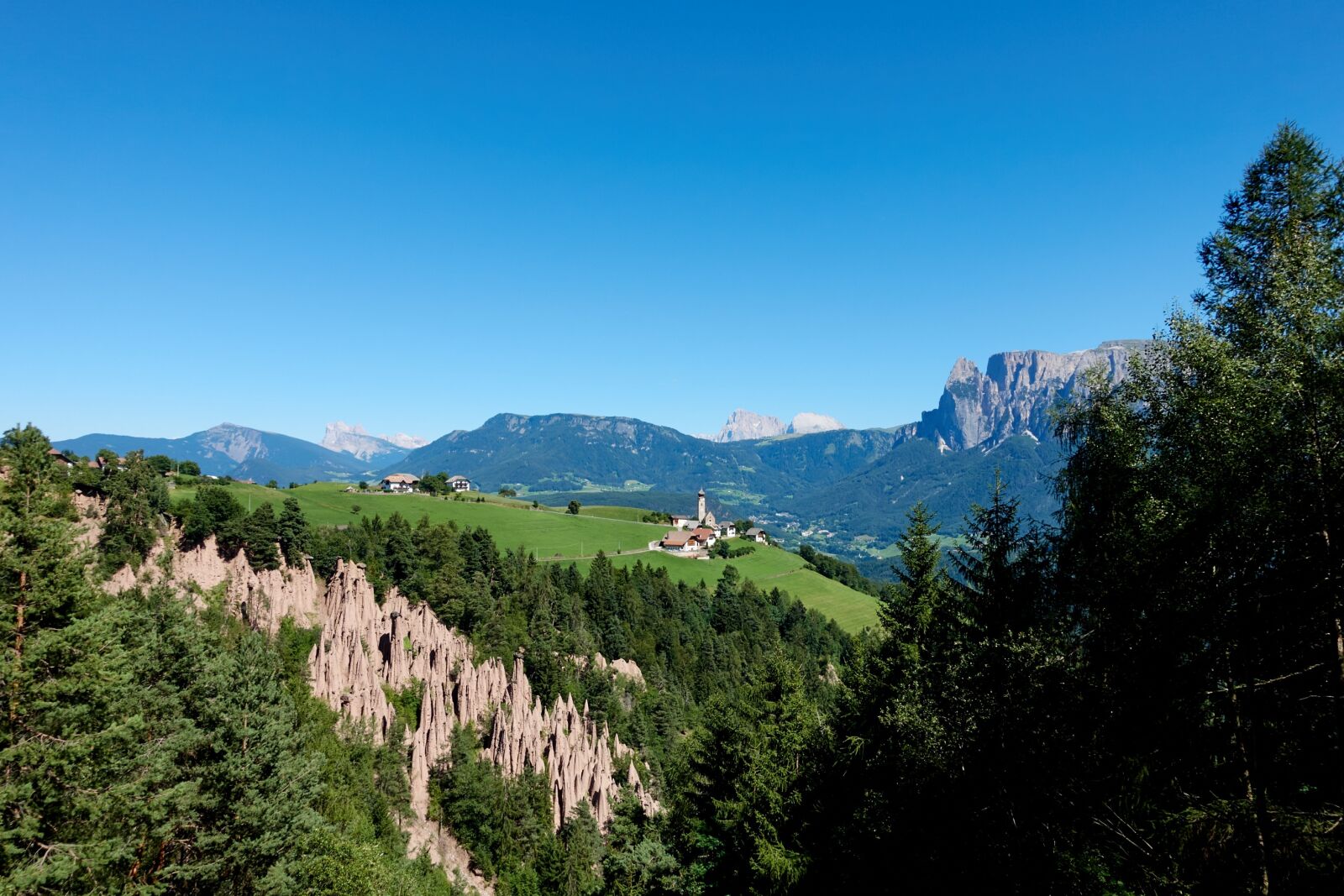 Sony Cyber-shot DSC-RX100 III sample photo. Mountain, fir, nature photography
