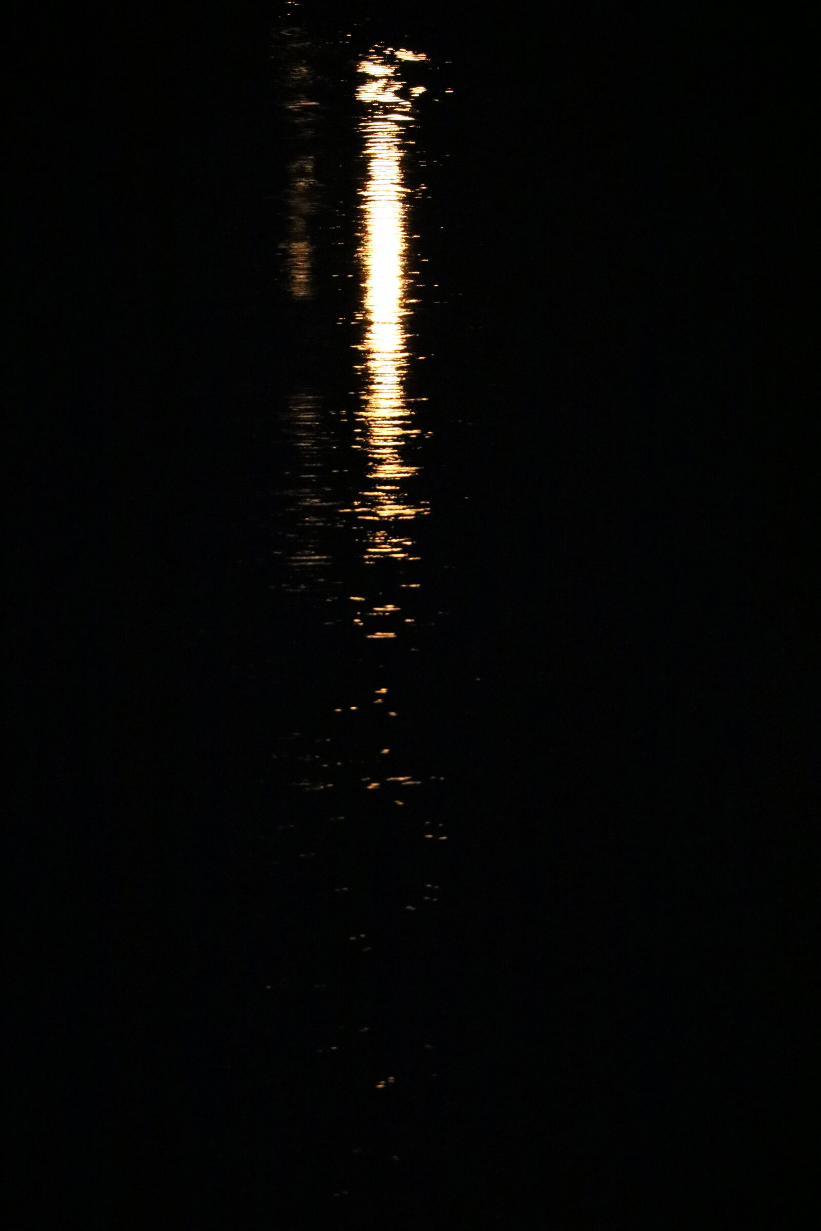 Canon EF-S 55-250mm F4-5.6 IS STM sample photo. Dark, light, night, reflected photography