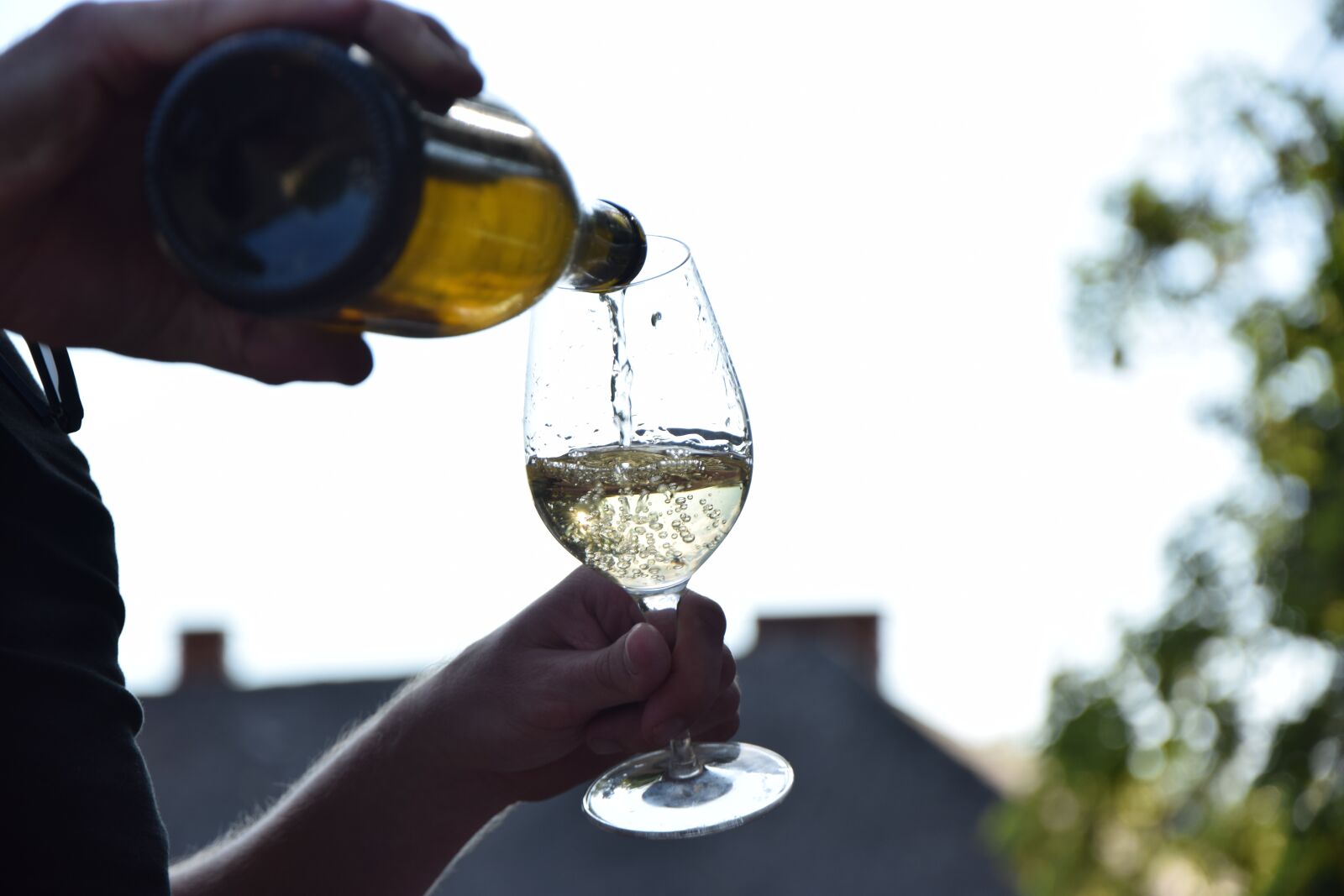 Nikon D3300 sample photo. Wine, glass, winery photography