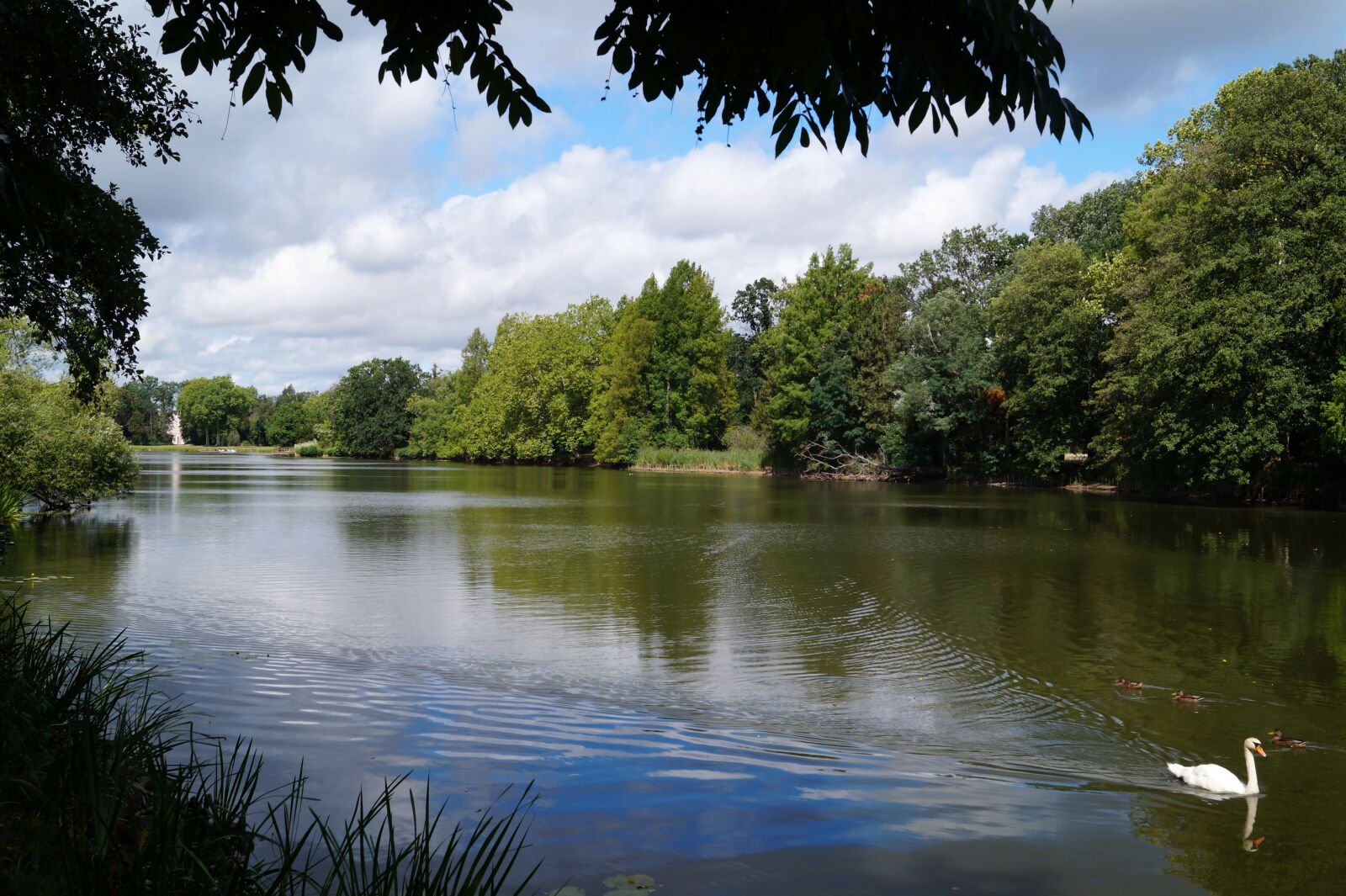 Sony DT 18-55mm F3.5-5.6 SAM II sample photo. Lake, park w rlitz photography