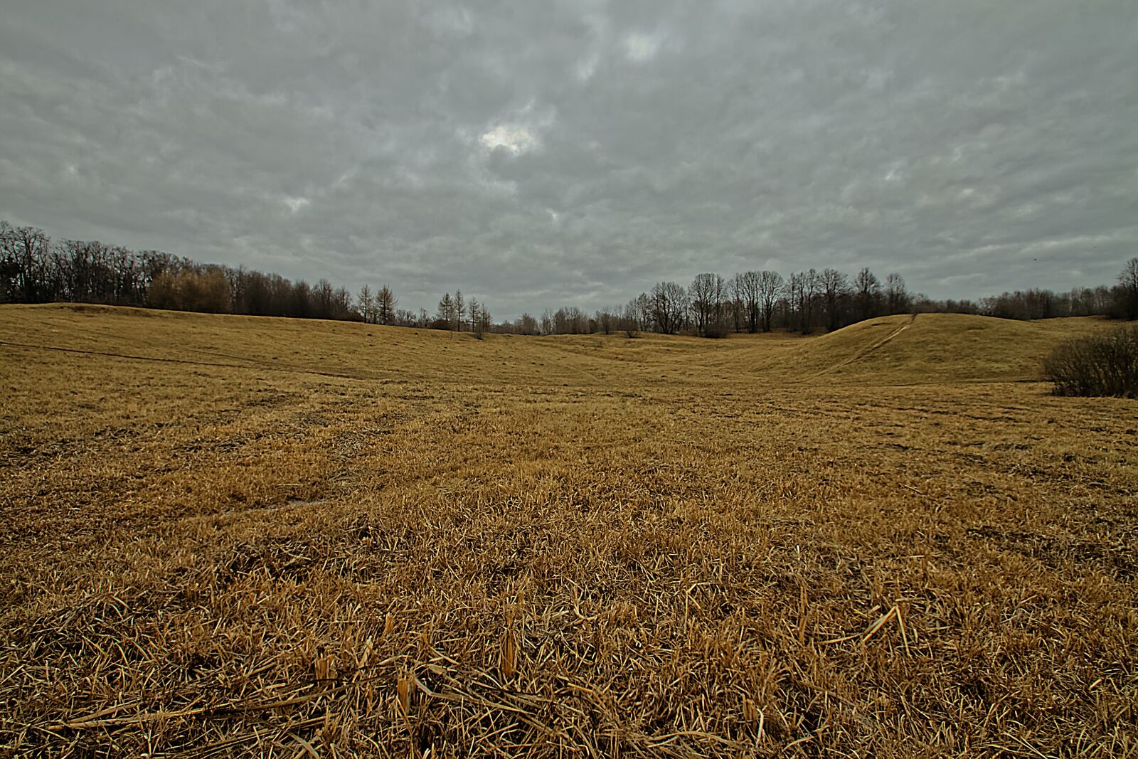 Canon EOS 500D (EOS Rebel T1i / EOS Kiss X3) sample photo. Field, sky, landscape photography