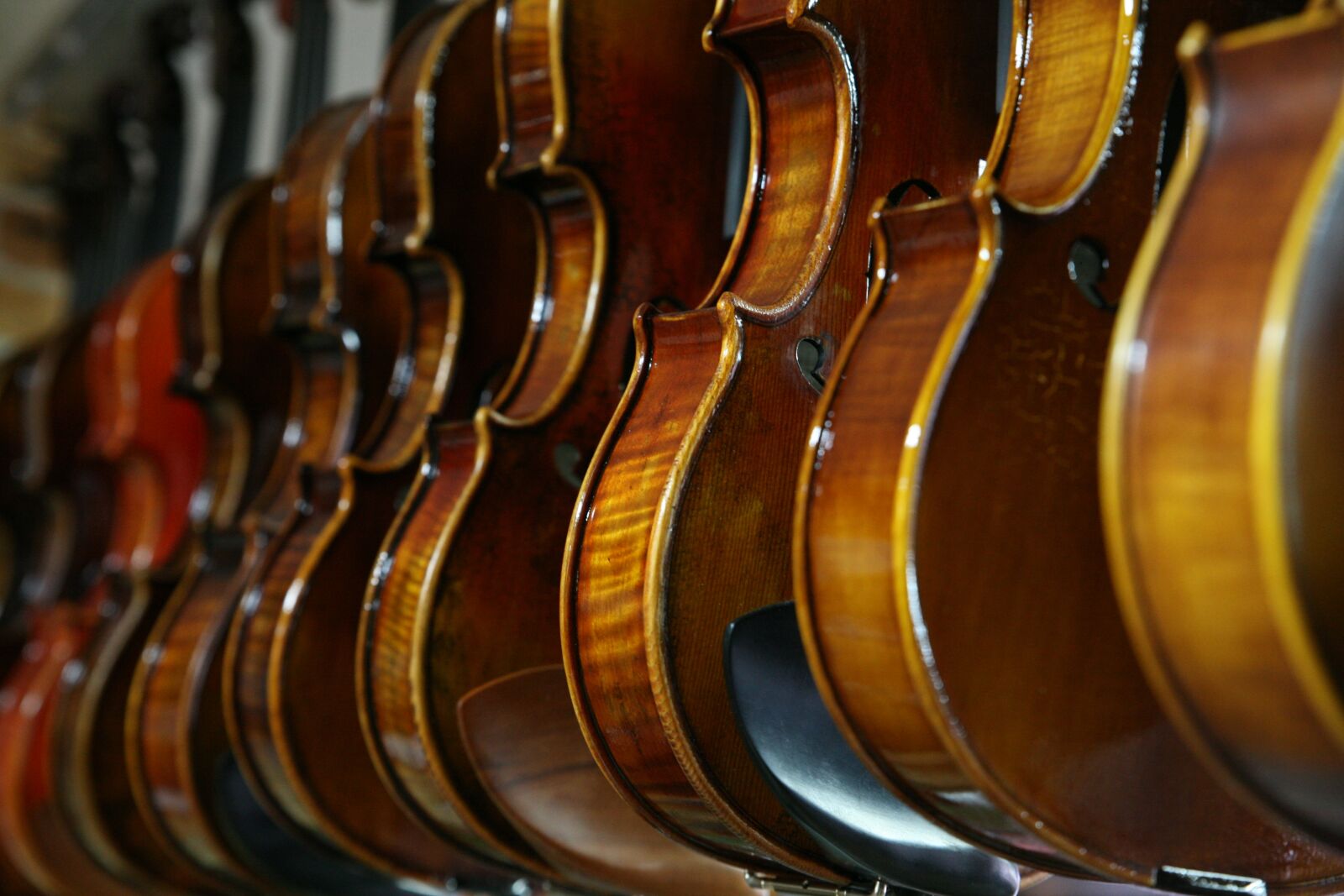 Canon EOS 5D sample photo. Sound, violin, music photography