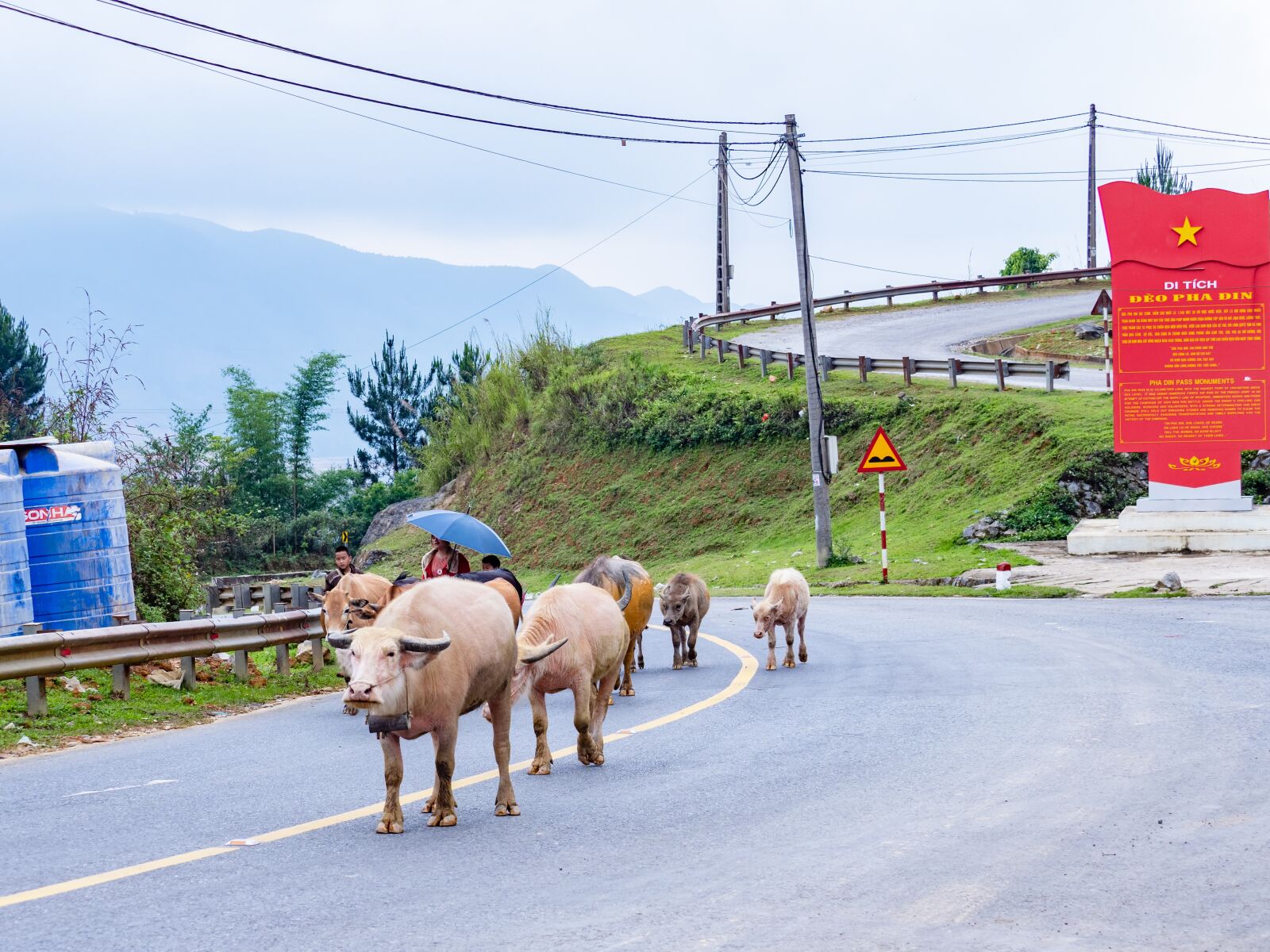 Olympus OM-D E-M1 Mark II + Olympus M.Zuiko Digital ED 40-150mm F2.8 Pro sample photo. Vietnam, buffalo, street photography