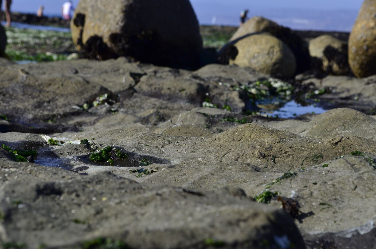 Nikon D5100 sample photo. Beach, sea, water photography