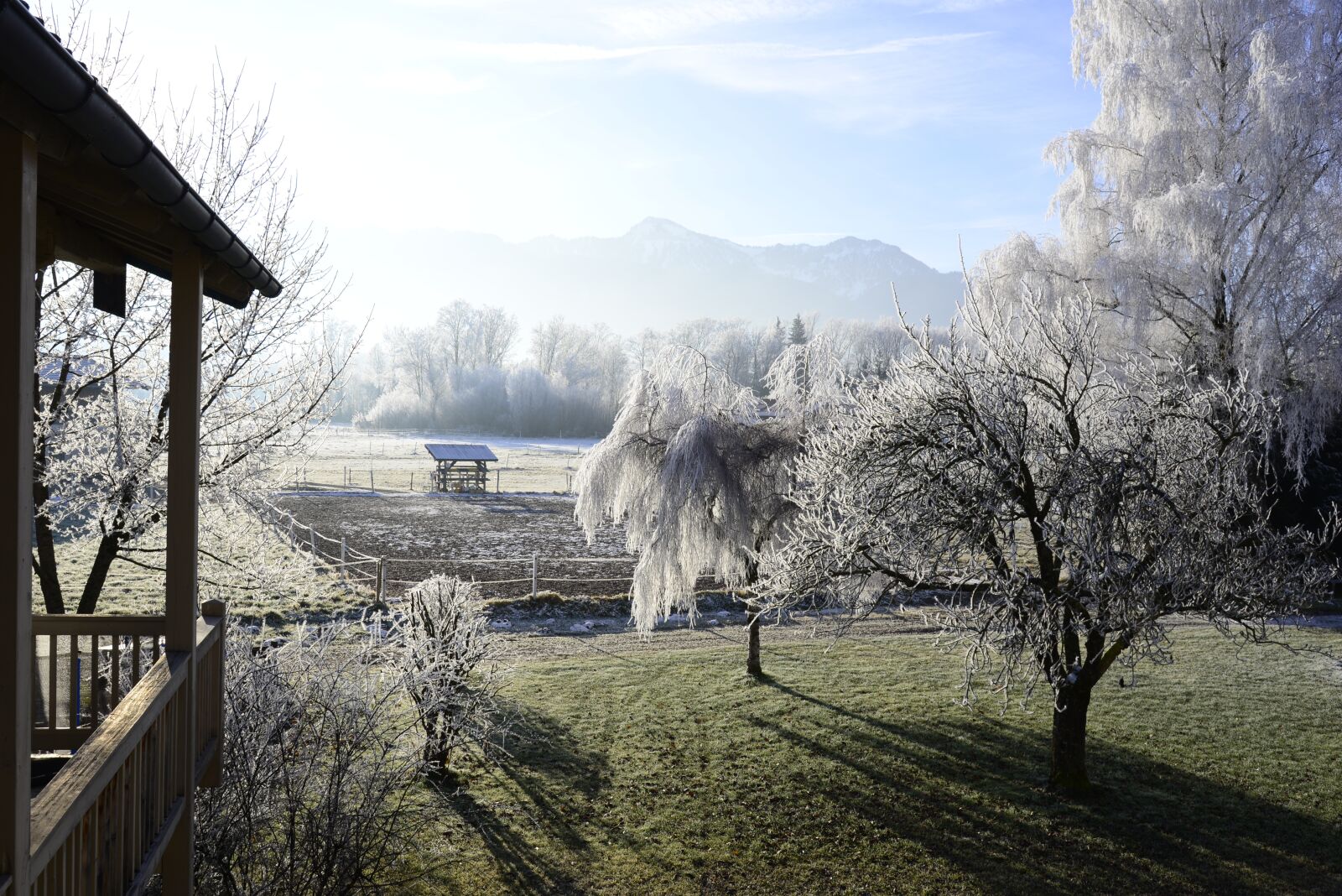 Nikon D610 sample photo. Hoarfrost, mountains, landscape photography