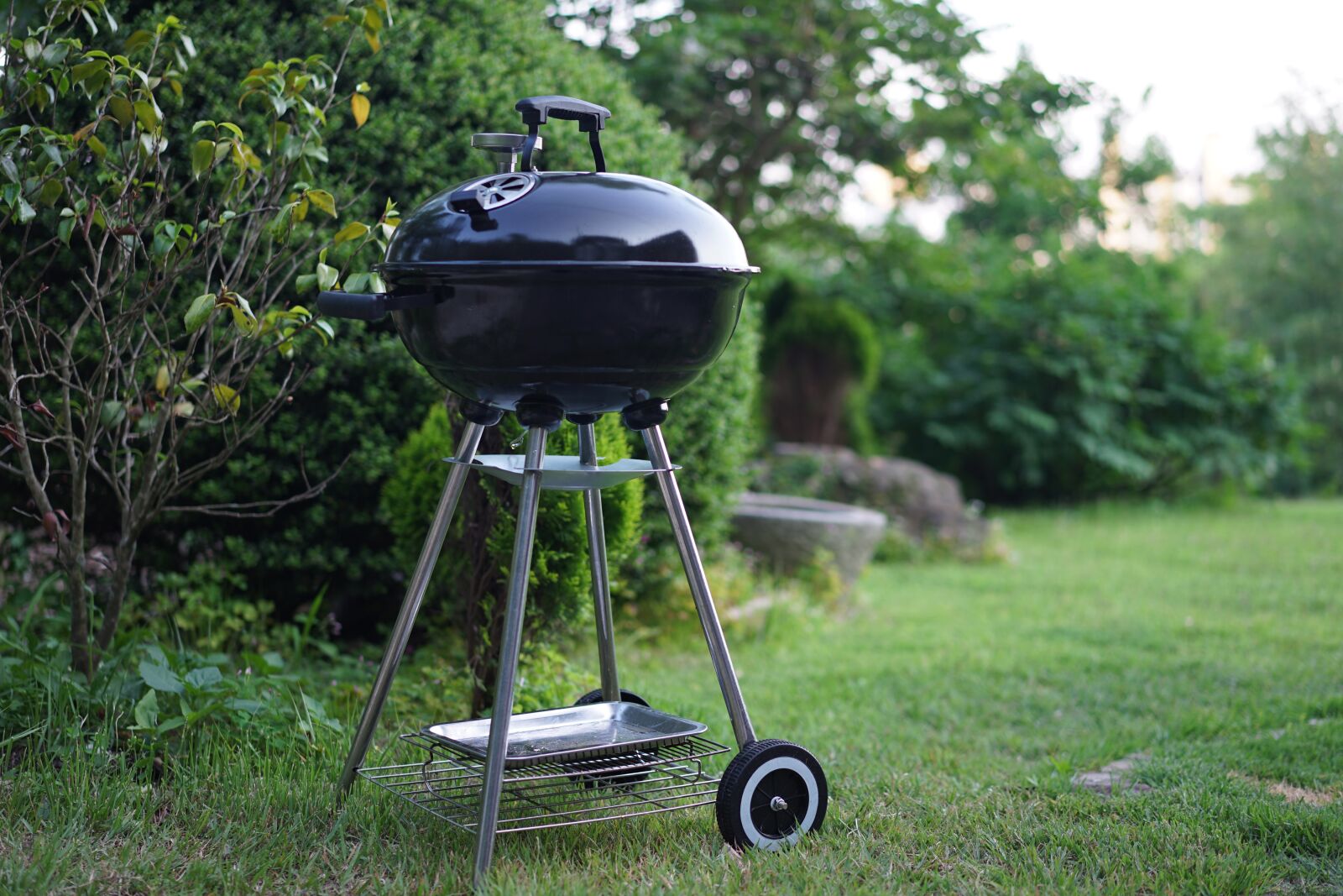 Sony a7 II + Sony Sonnar T* FE 55mm F1.8 ZA sample photo. Barbecues, grill, grass photography