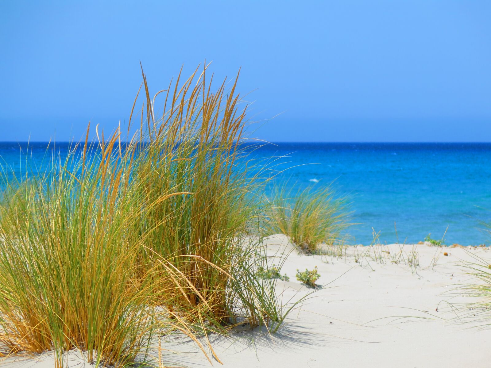 Canon PowerShot G15 sample photo. Beach, sardinia, sea photography