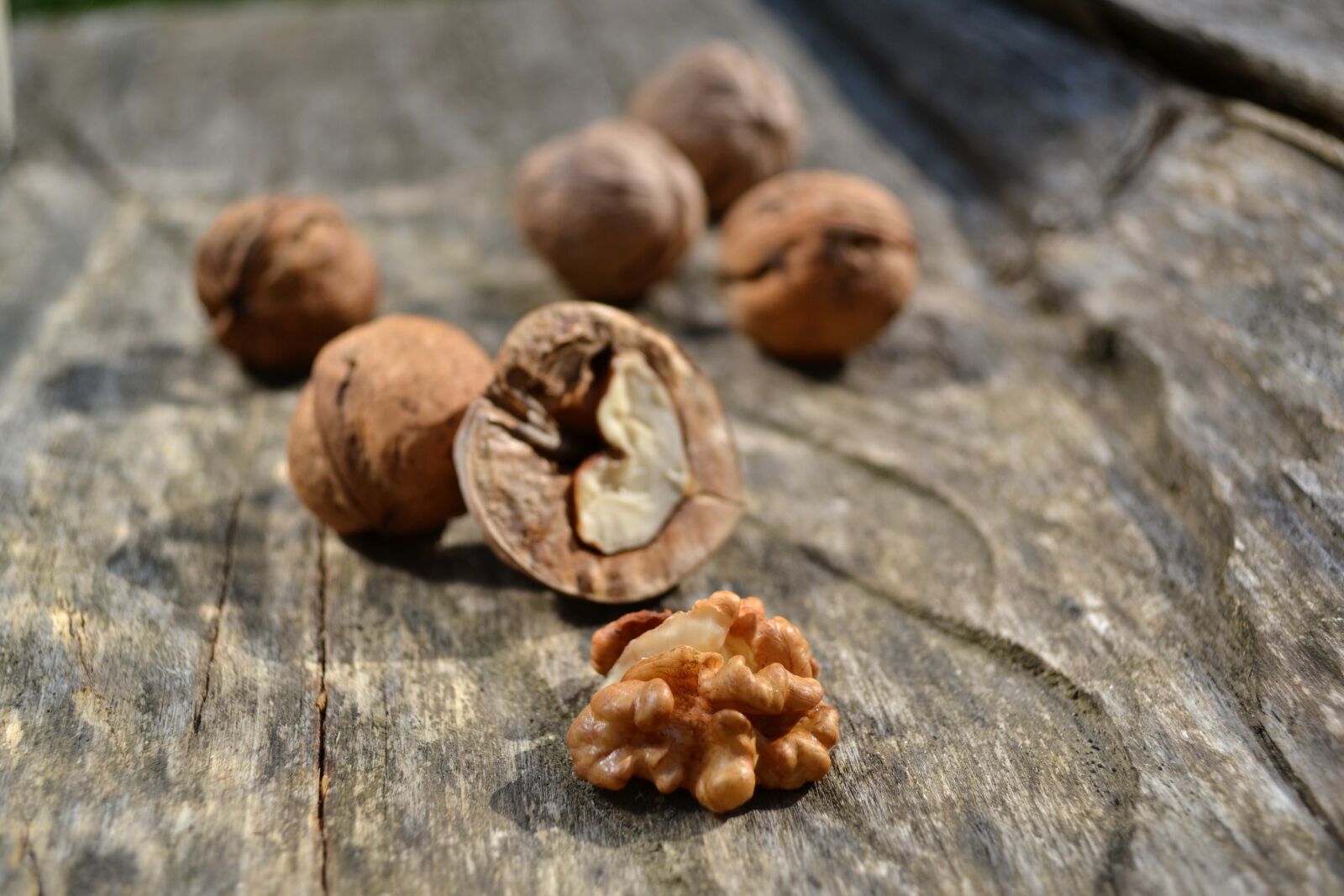Nikon D3100 sample photo. Food, nuts, wood photography
