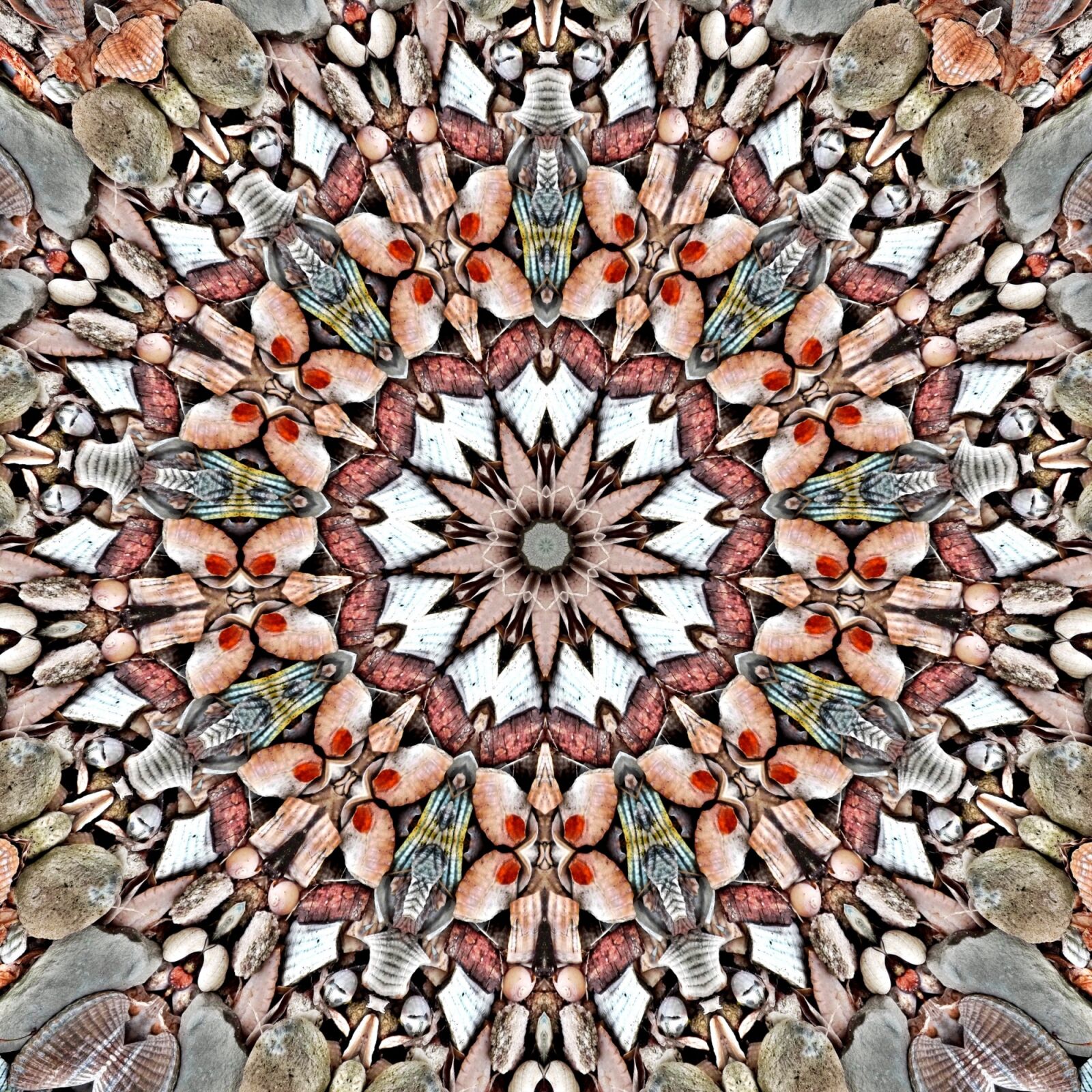 Kodak EASYSHARE C195 DIGITAL CAMERA sample photo. Abstract art, texture, mandala photography