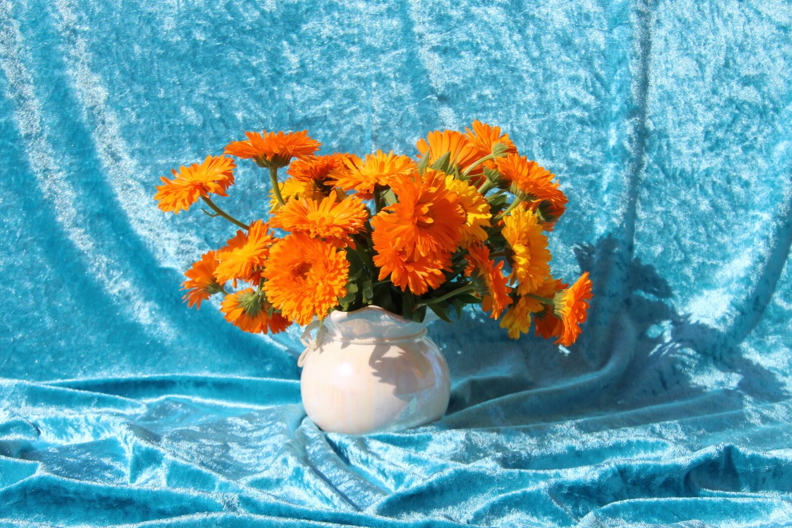 Canon EOS 700D (EOS Rebel T5i / EOS Kiss X7i) sample photo. Bouquet, flower vase, flowers photography