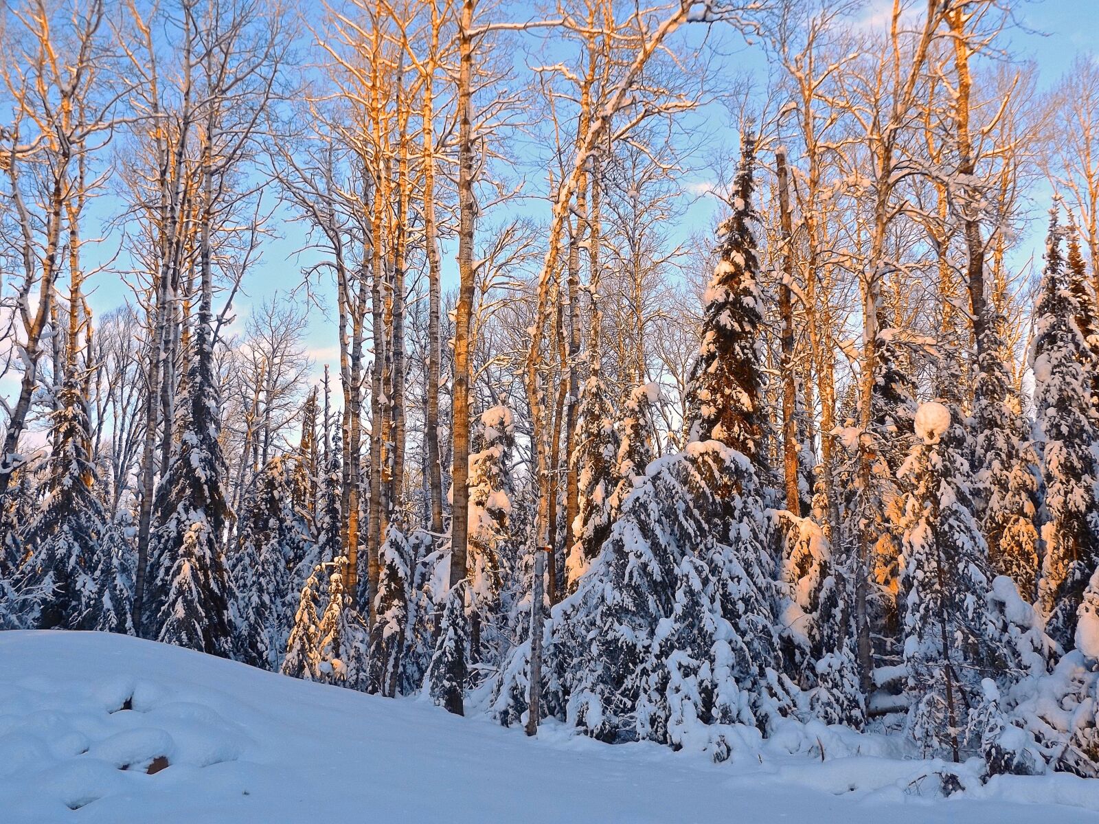 Fujifilm FinePix S8600 sample photo. Winter, snow, blue photography