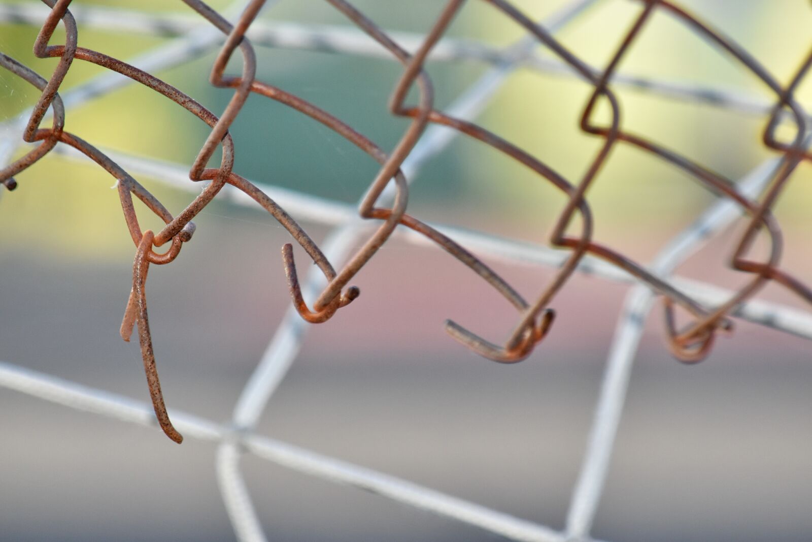 Nikon D5500 sample photo. Details, fence, iron, network photography