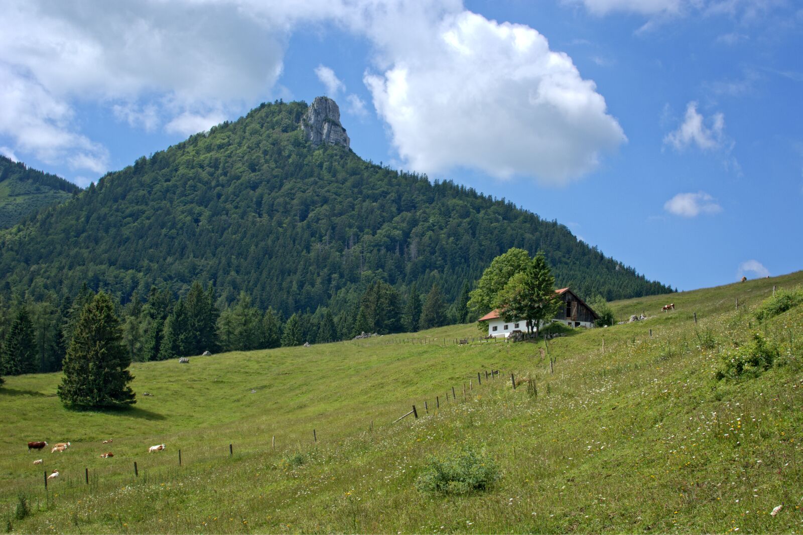 Nikon D7100 sample photo. Landscape, nature, bavaria photography