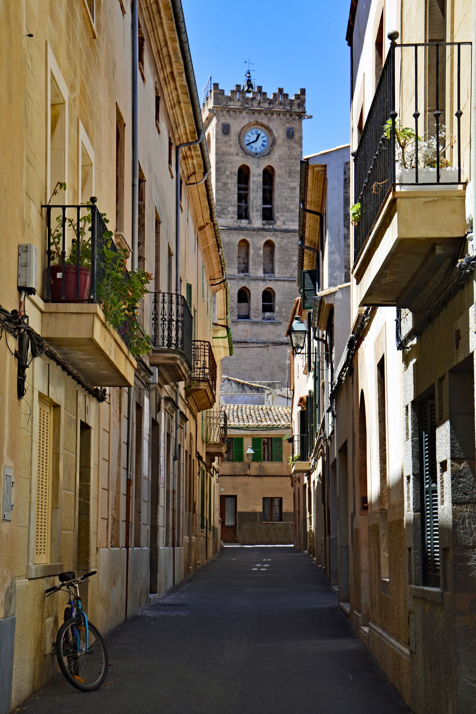 Nikon D3100 sample photo. Pollen a, mallorca, balearic photography