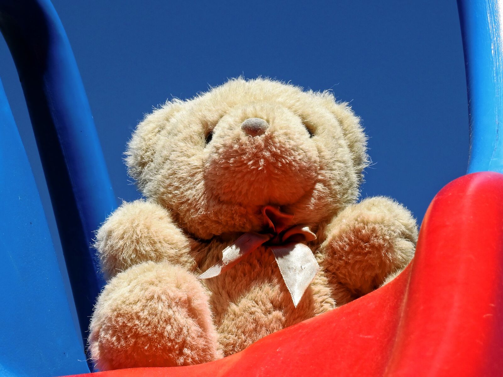 Nikon Coolpix P900 sample photo. Teddy bear, teddy, soft photography