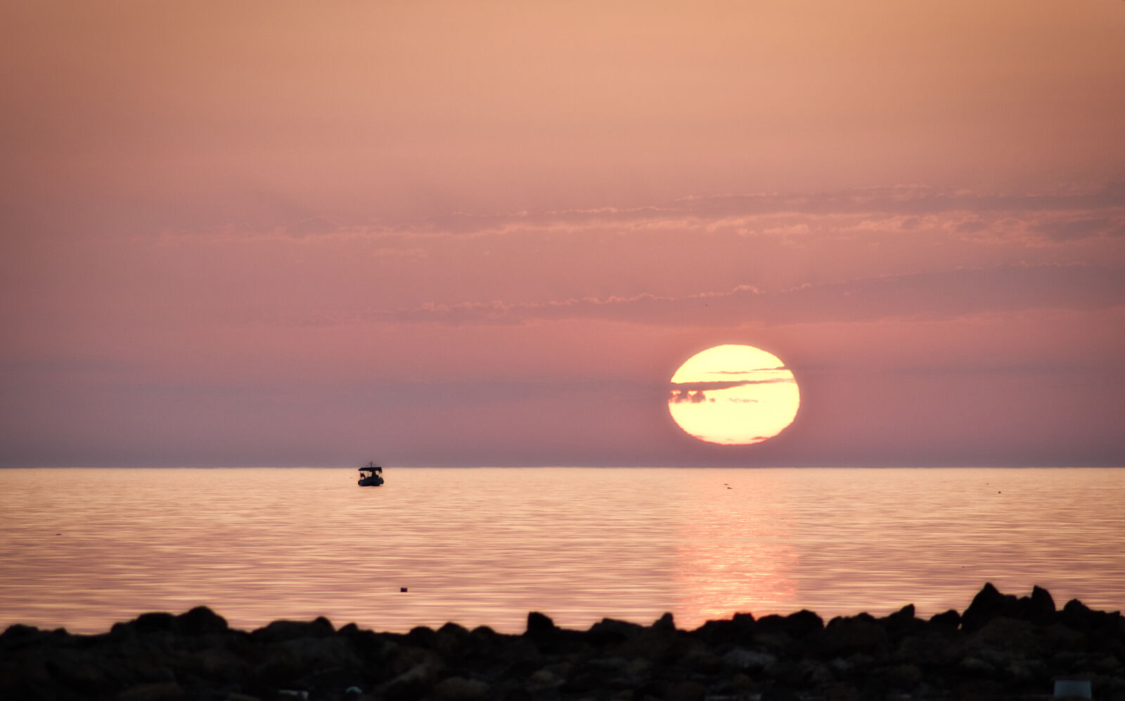 Nikon D5500 sample photo