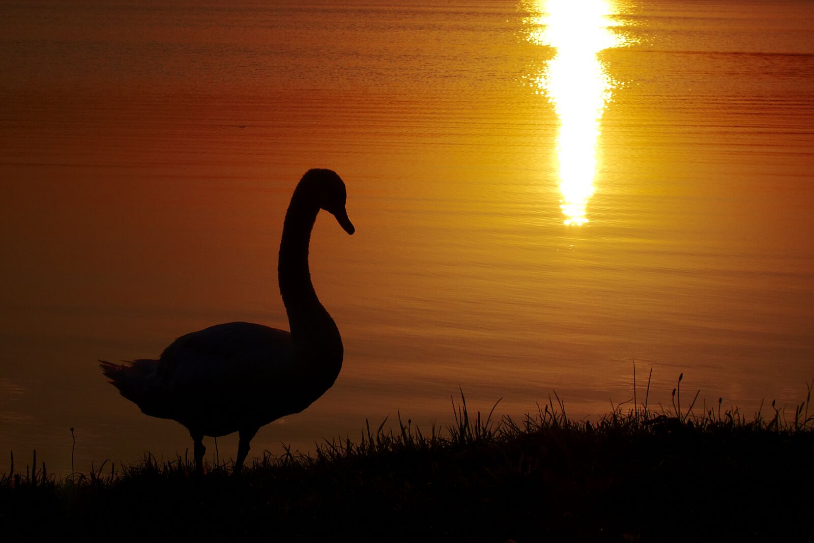 Canon PowerShot S95 sample photo. Nature, sunset, dusk photography