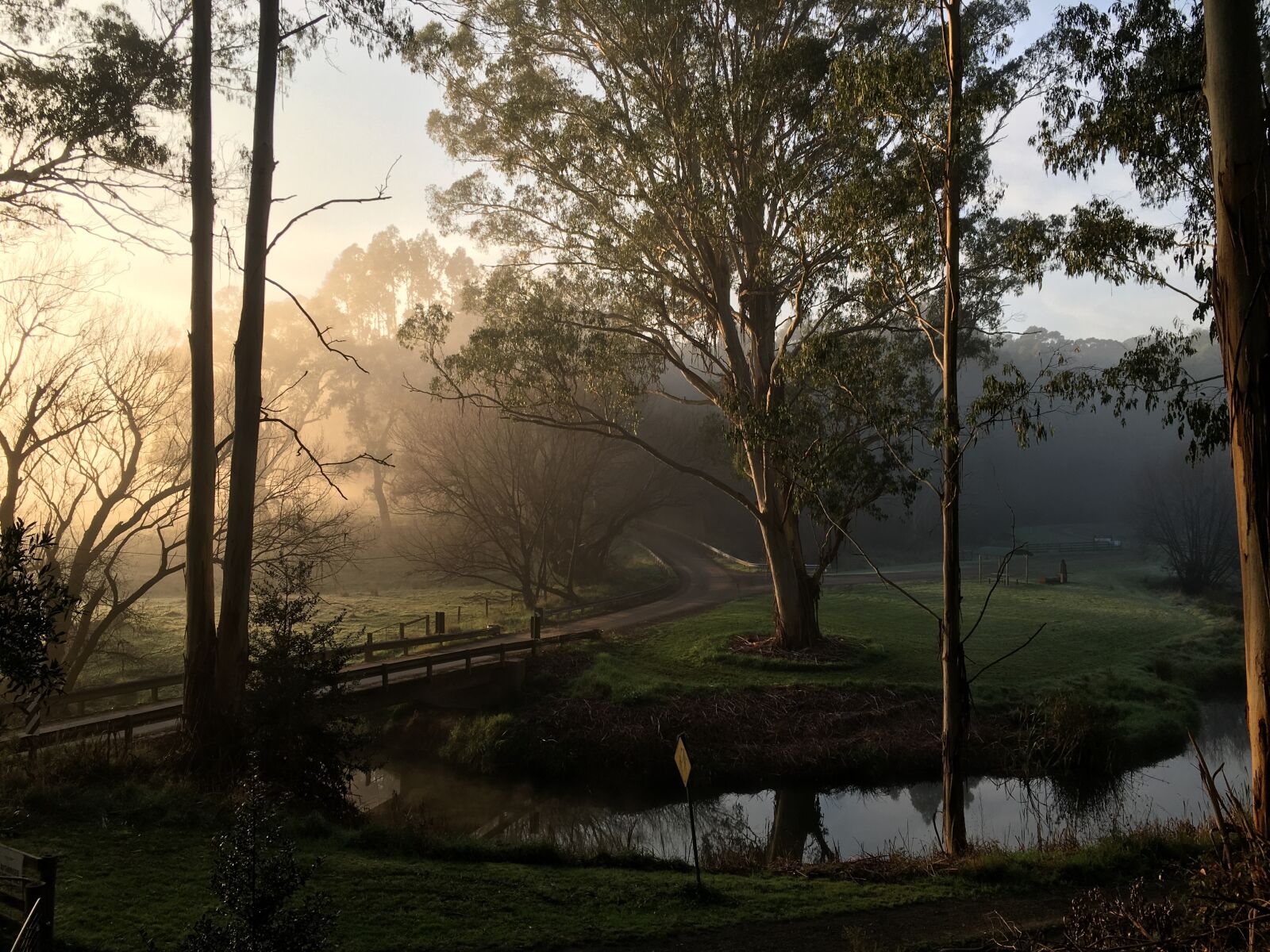 Apple iPhone 6s sample photo. Misty, morning, landscape photography