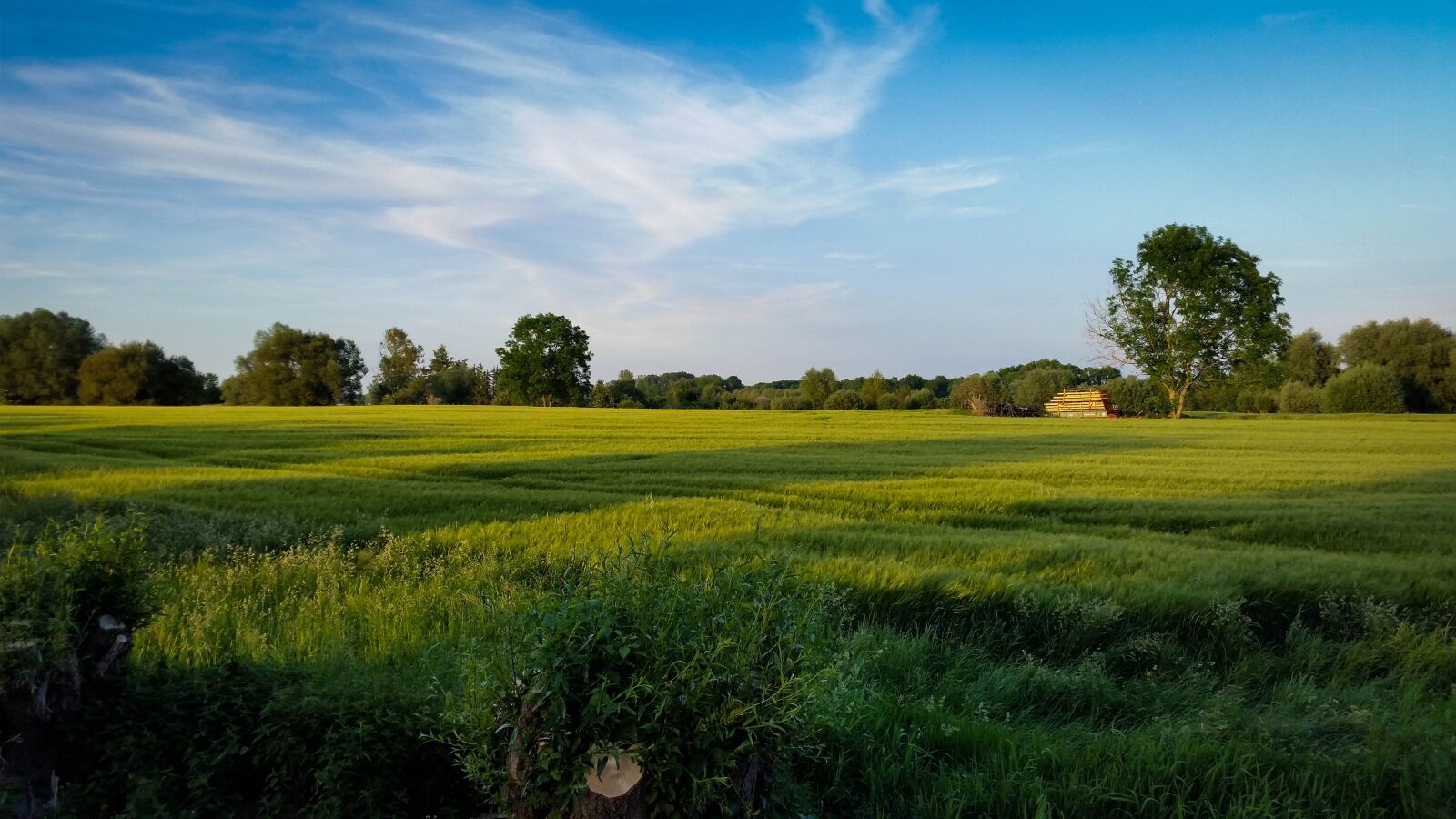 Samsung Galaxy S5 sample photo. Landscape, gremheim, tree photography
