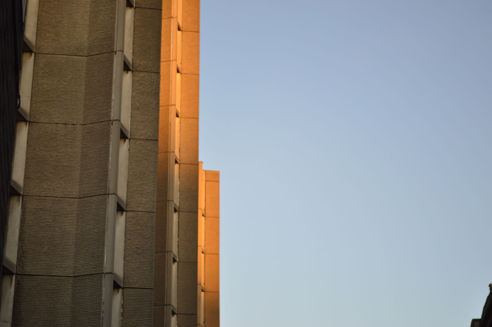 Nikon D3200 sample photo