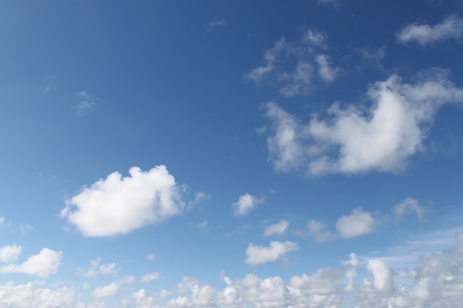Canon EOS 500D (EOS Rebel T1i / EOS Kiss X3) sample photo. Blue sky, summer, sky photography