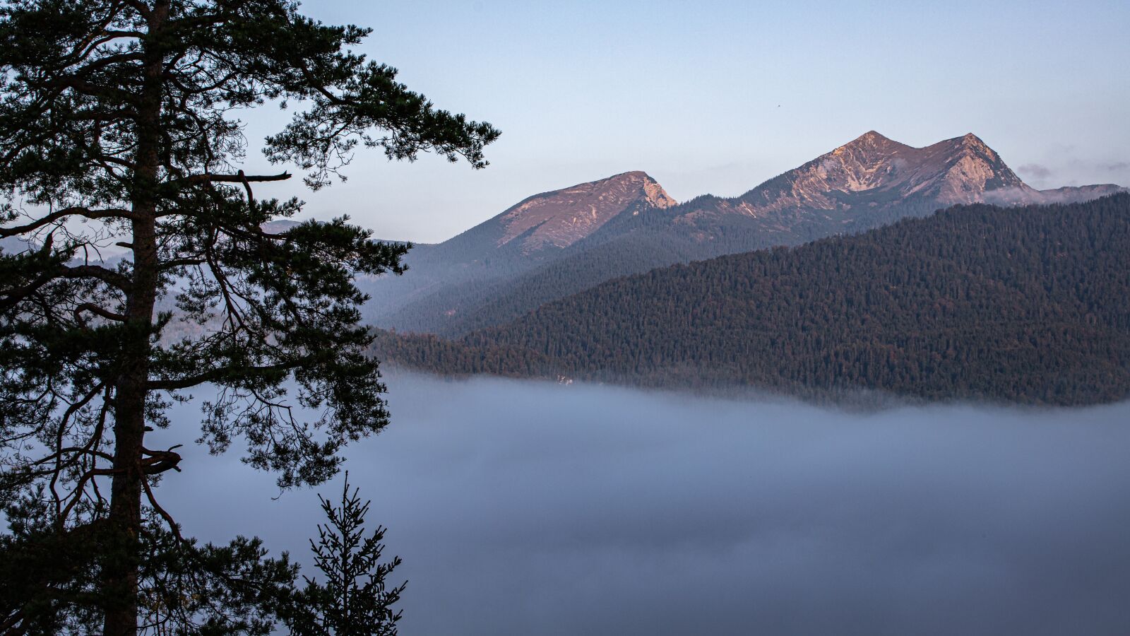 Canon EOS 6D Mark II sample photo. Mountains, fog, trees photography