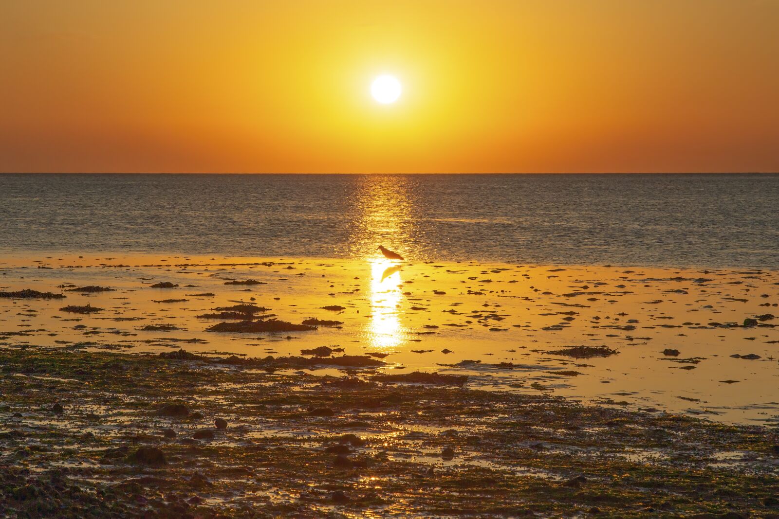 Canon EOS 6D sample photo. Sunset, beach, ocean photography