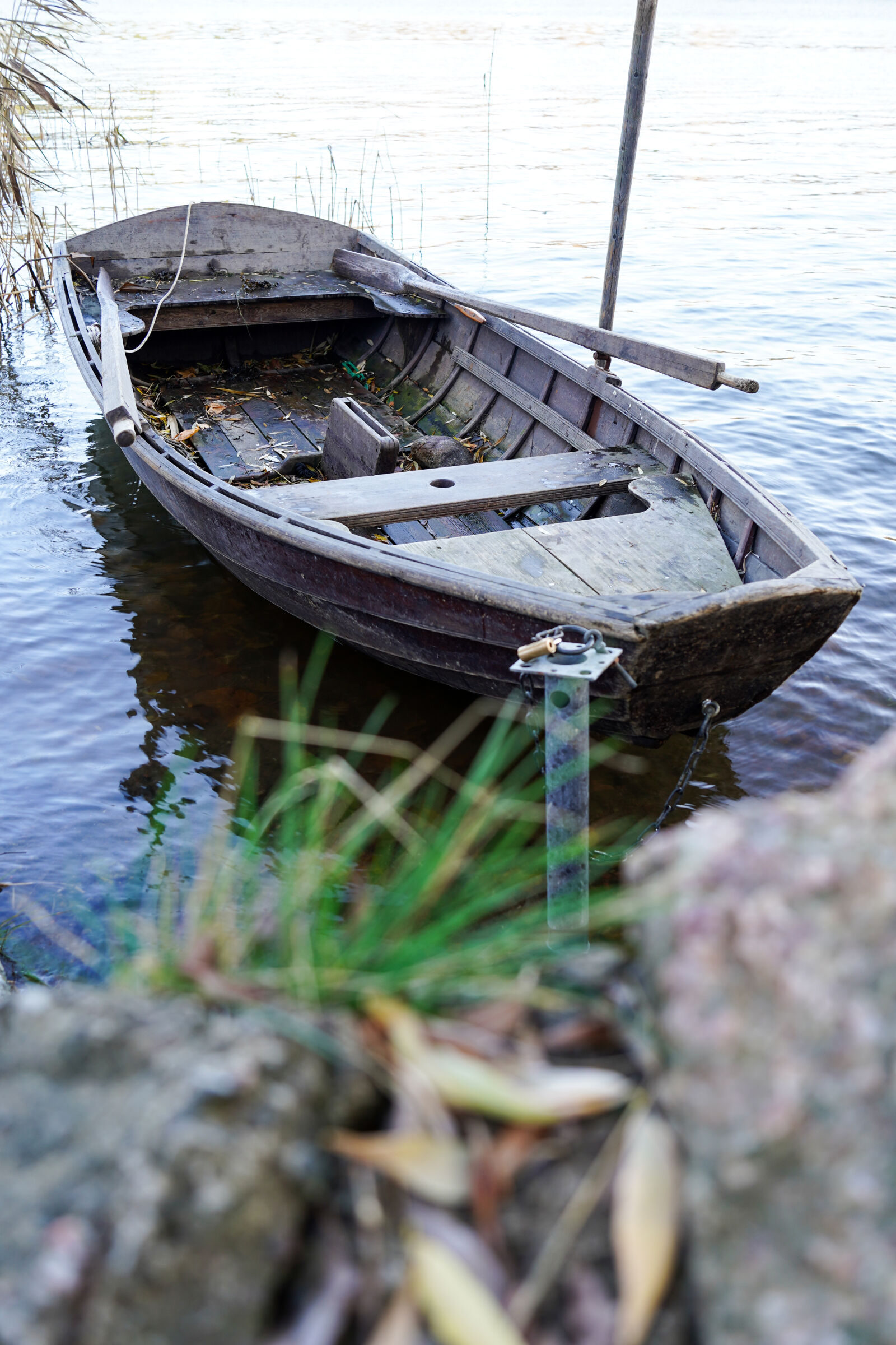 Sony a7C sample photo. Boat of autumn photography