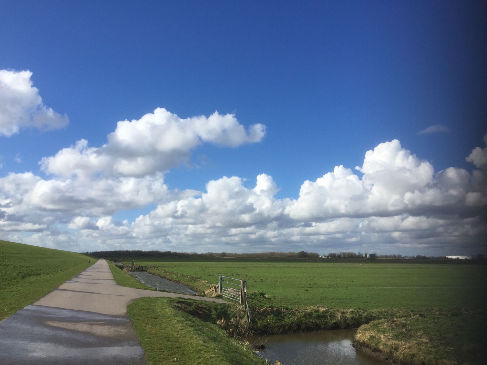 iPhone 6 back camera 4.15mm f/2.2 sample photo. Polder, air, meadow photography