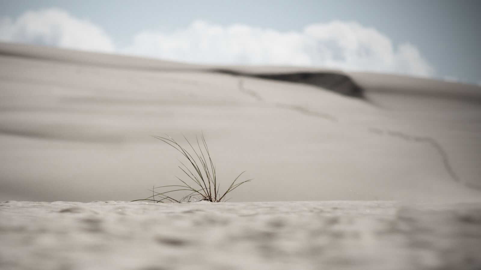 Sony Alpha DSLR-A700 sample photo. Dunes, sand dunes, poland photography