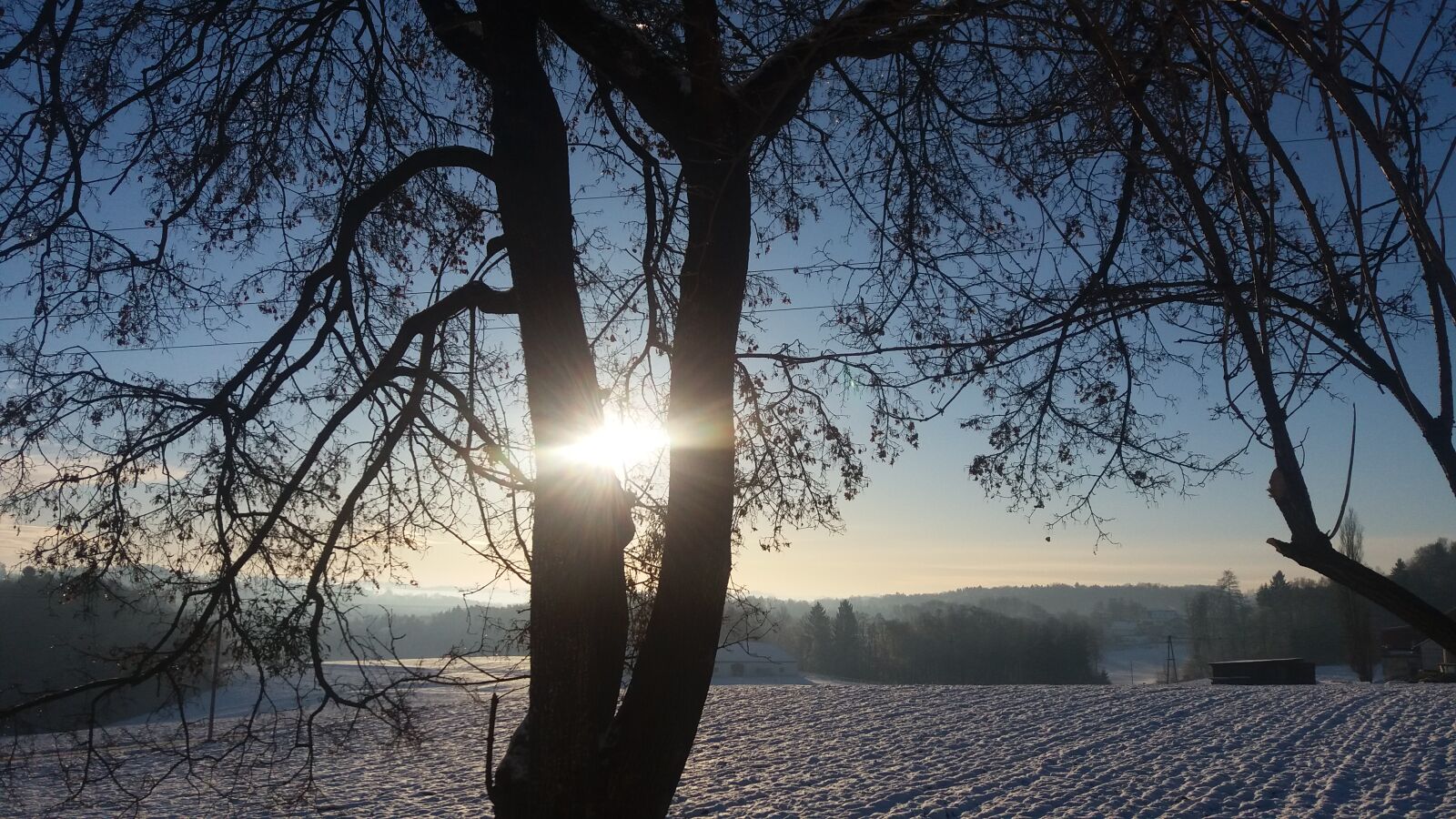 Samsung Galaxy J5 sample photo. Light, tree, winter, landscape photography