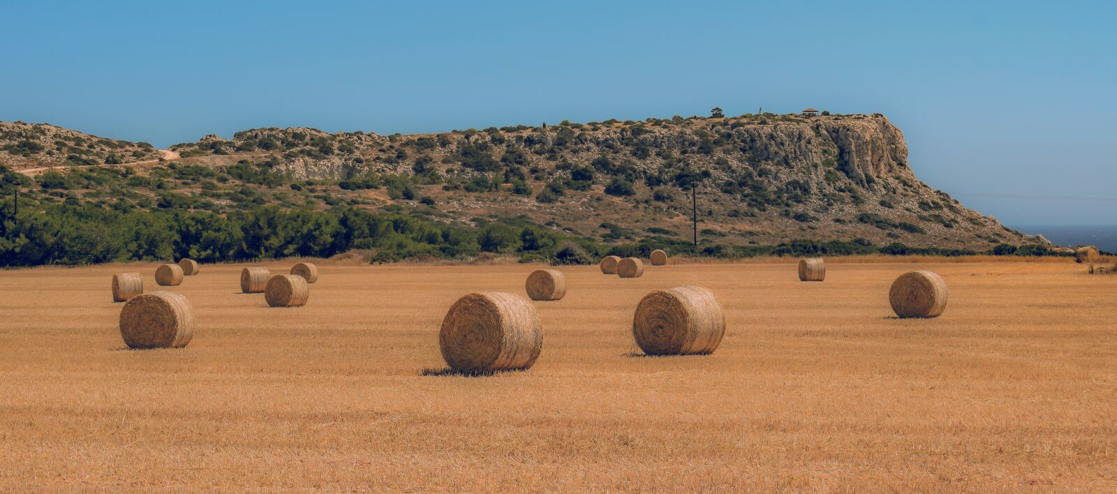 Nikon D3300 sample photo. Hay, straw, bale photography