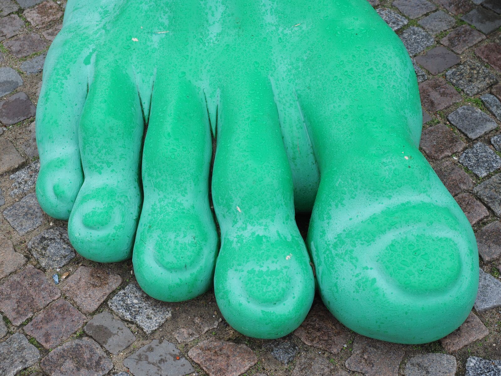 Olympus OM-D E-M1 + Olympus M.Zuiko Digital ED 12-40mm F2.8 Pro sample photo. Feet, giant feet, green photography