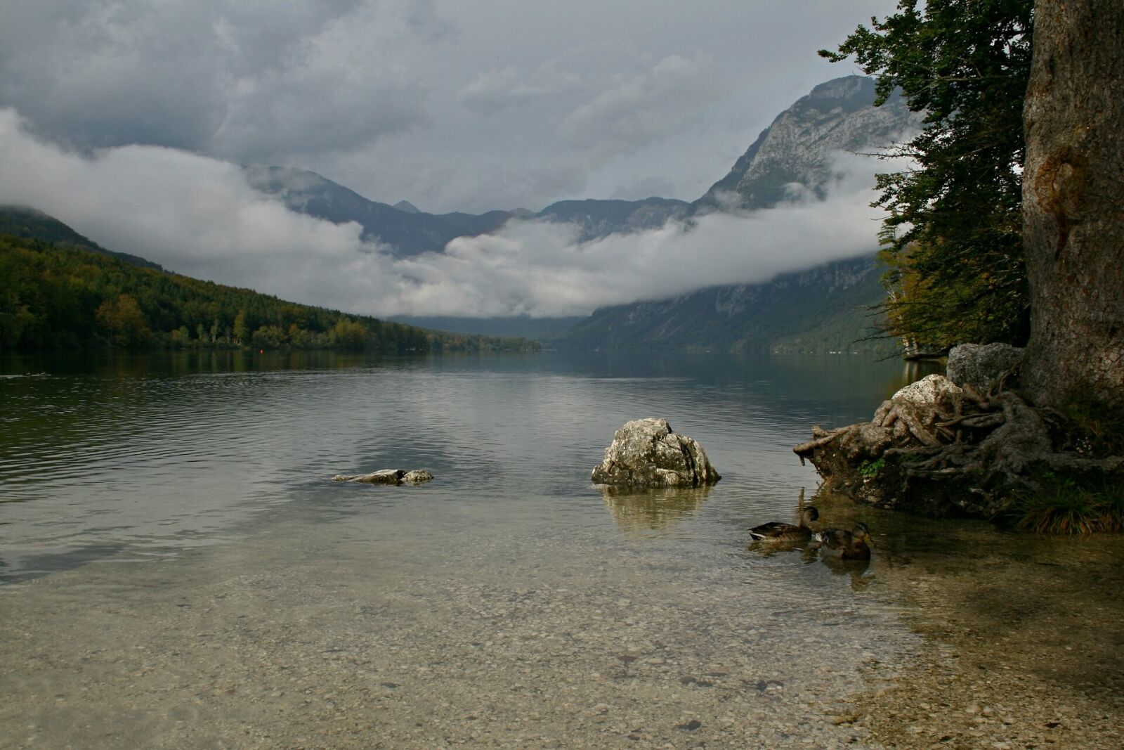 Canon EOS 400D (EOS Digital Rebel XTi / EOS Kiss Digital X) sample photo. Slovenia, lake, bohinj photography