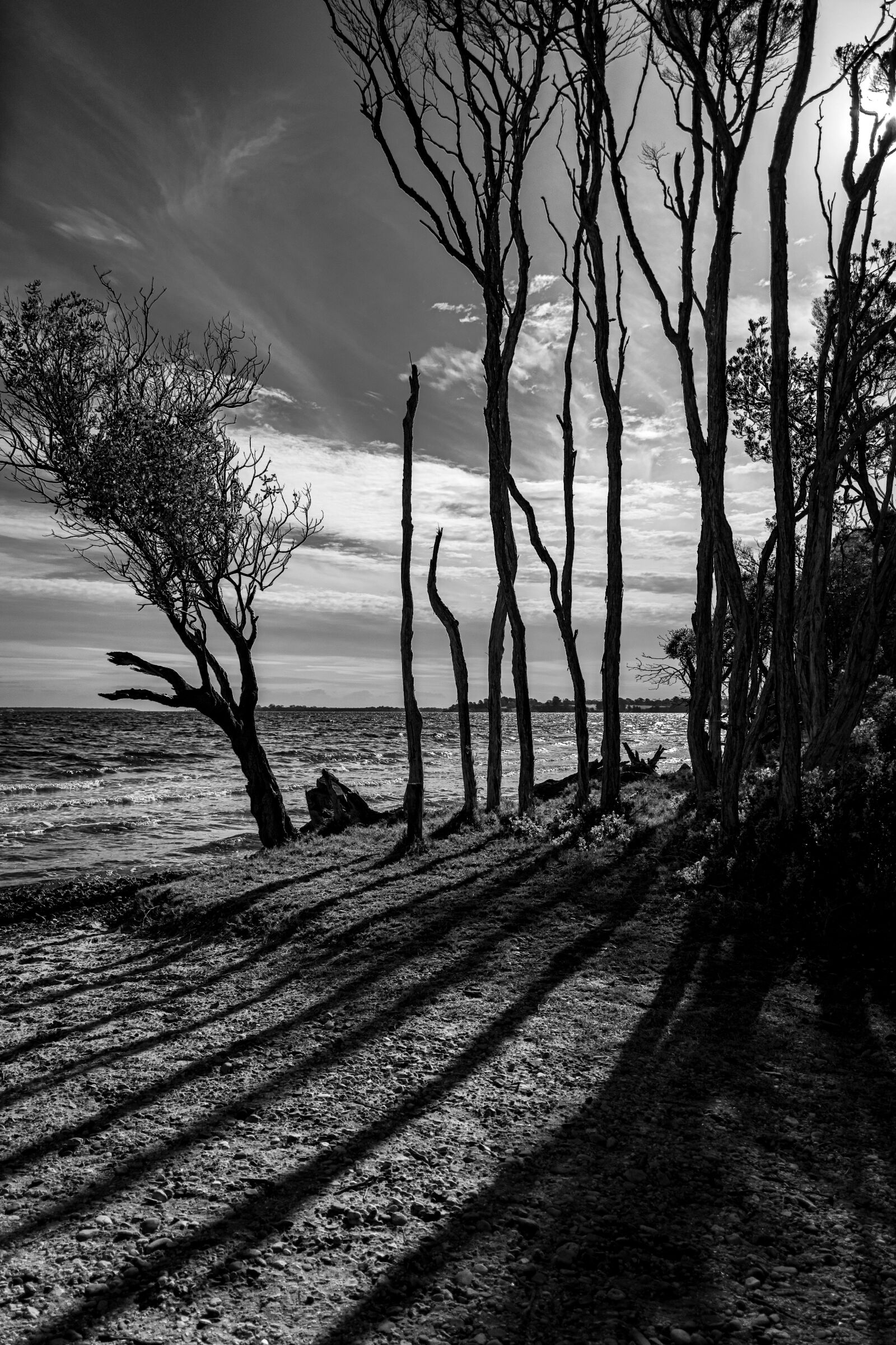 Nikon D5600 sample photo. Beach, sun, shadow photography