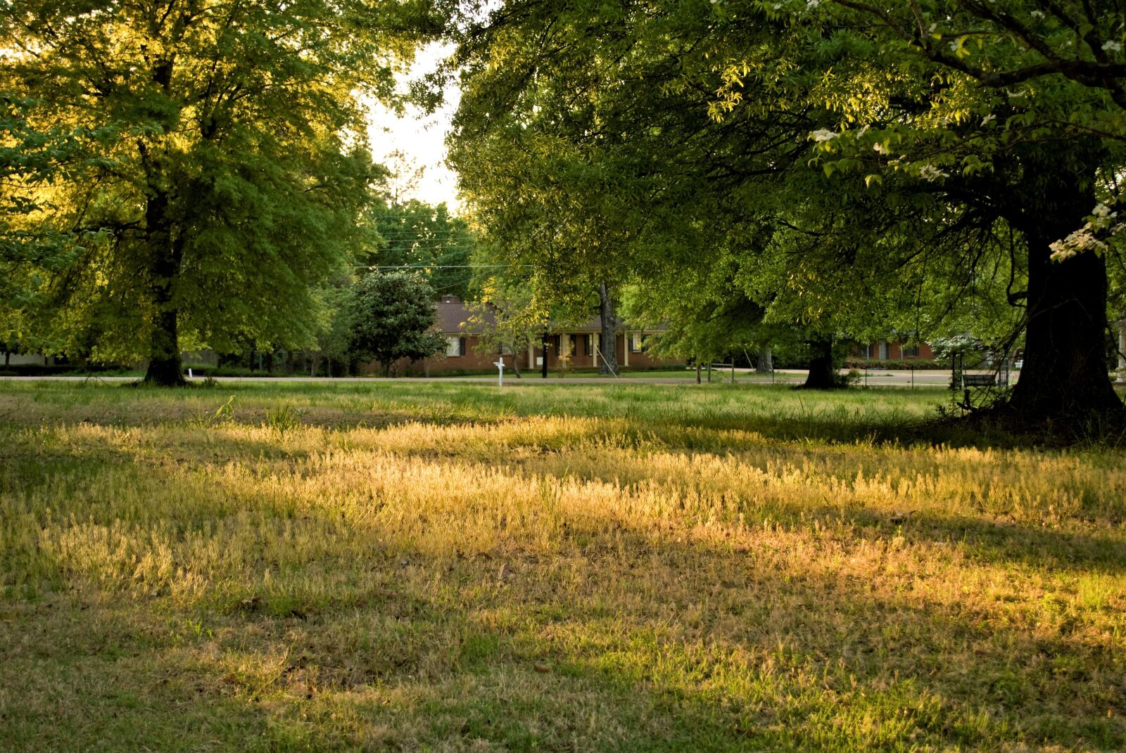 Nikon D60 sample photo. Landscape, sunset, nature photography