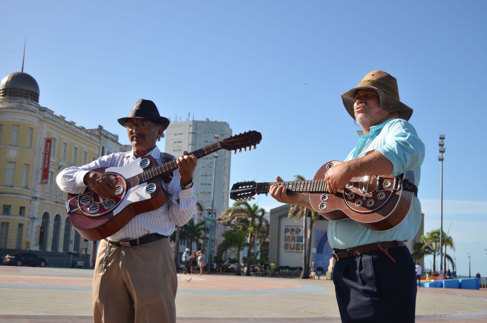 Nikon D5100 sample photo. Music, viola, guitar photography