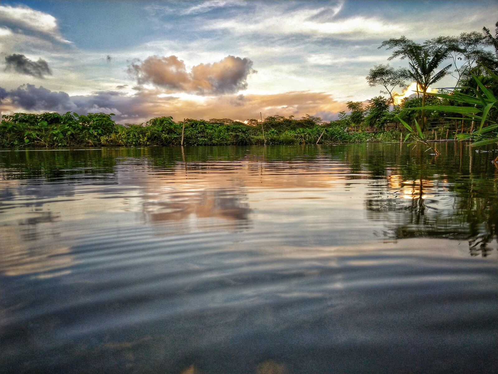 HMD Global Nokia 7 plus sample photo. Natural, water, pond photography