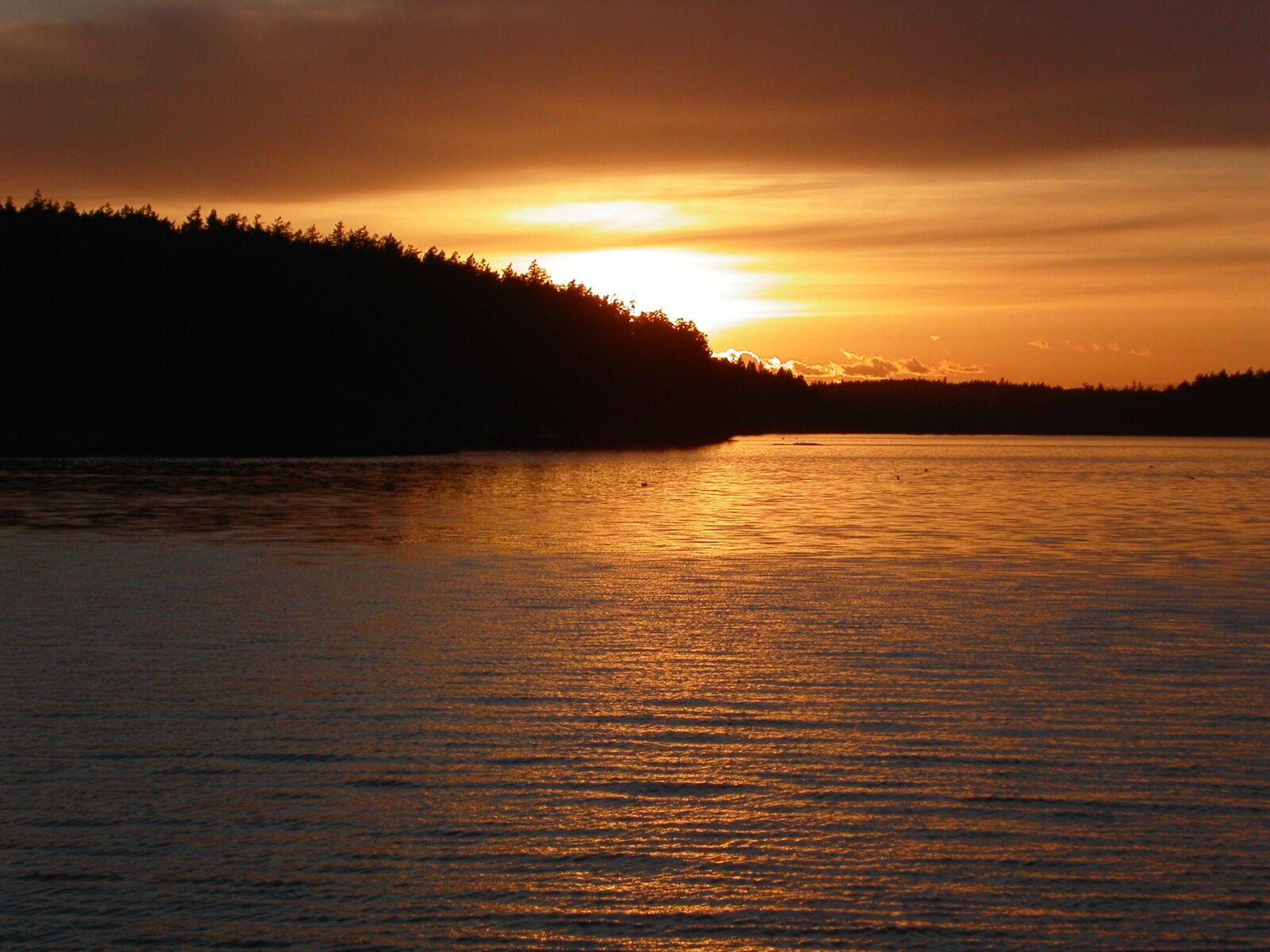 KONICA MINOLTA DiMAGE F100 sample photo. Sunset, washington, ferry photography
