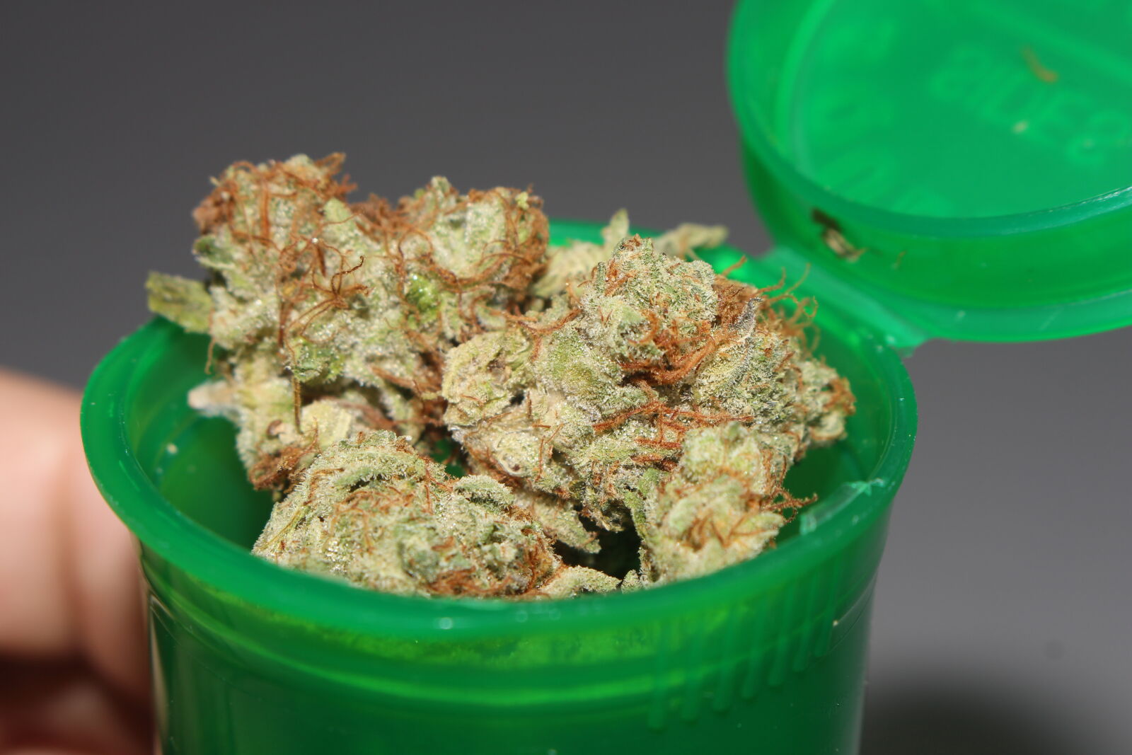 Canon EOS 700D (EOS Rebel T5i / EOS Kiss X7i) sample photo. 420, 710, bottle, buds photography